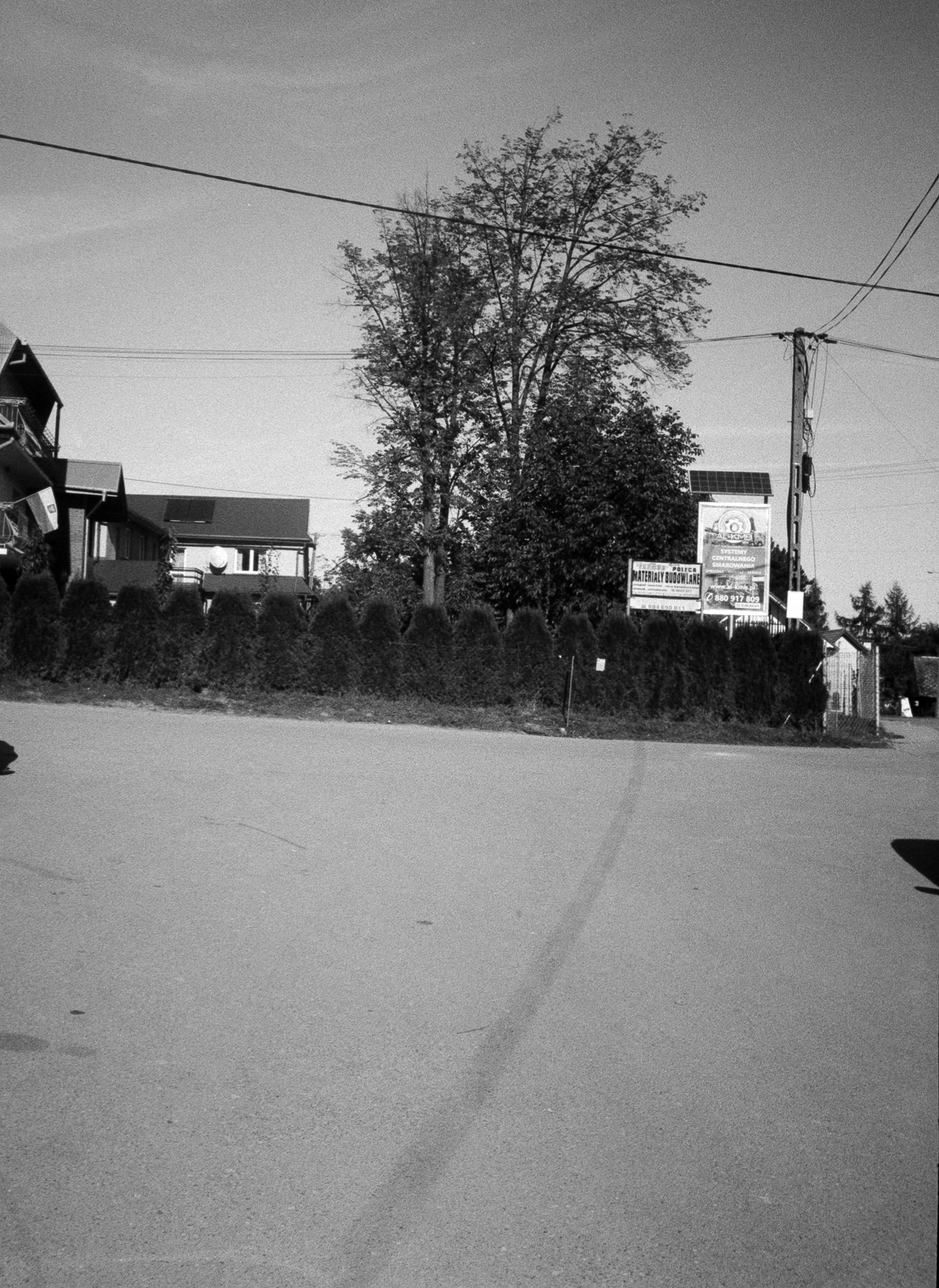 Sidzina - © 2025 Tomasz Ryś