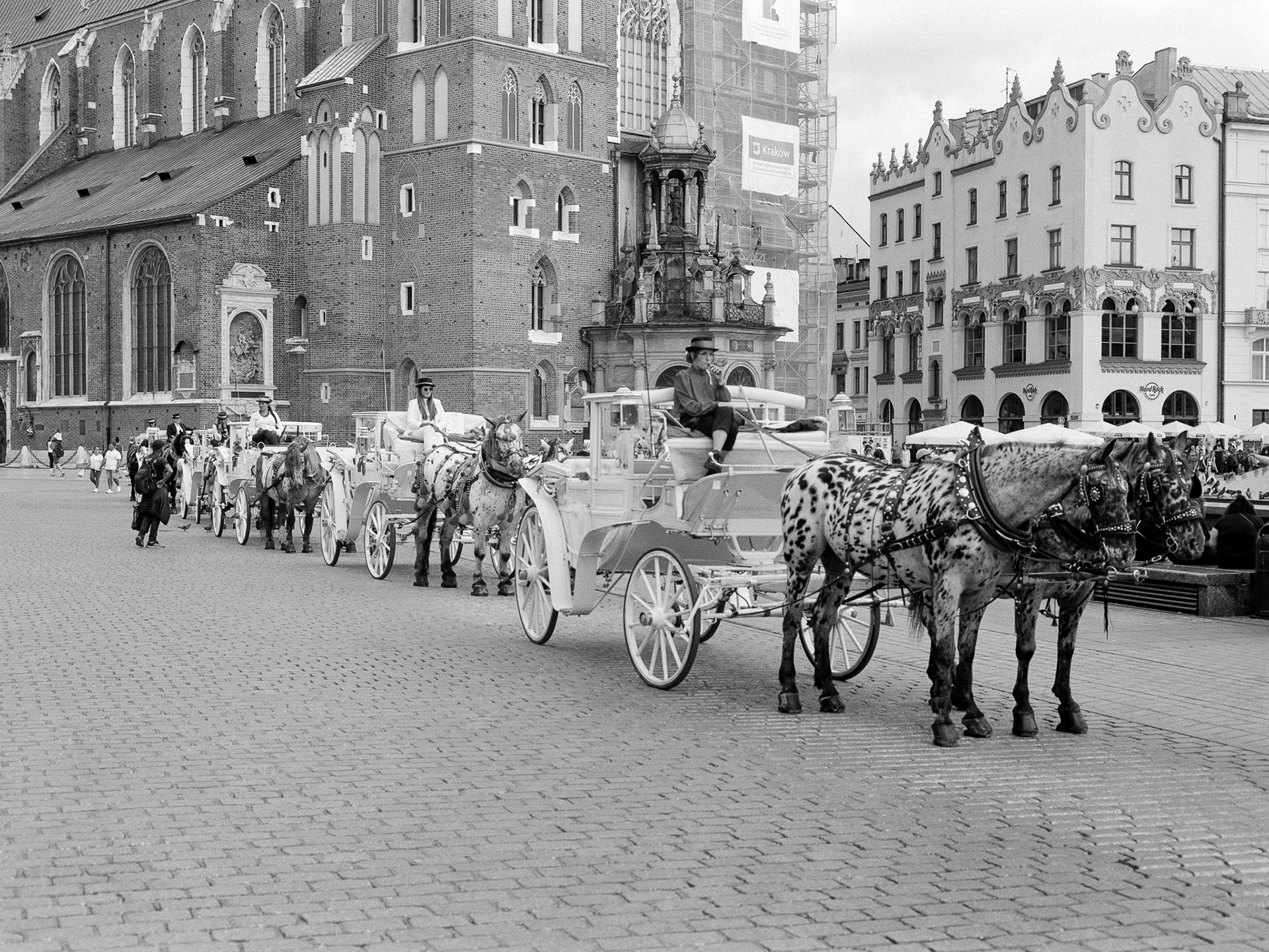 Rynek Główny w Krakowie - © 2025 Tomasz Ryś