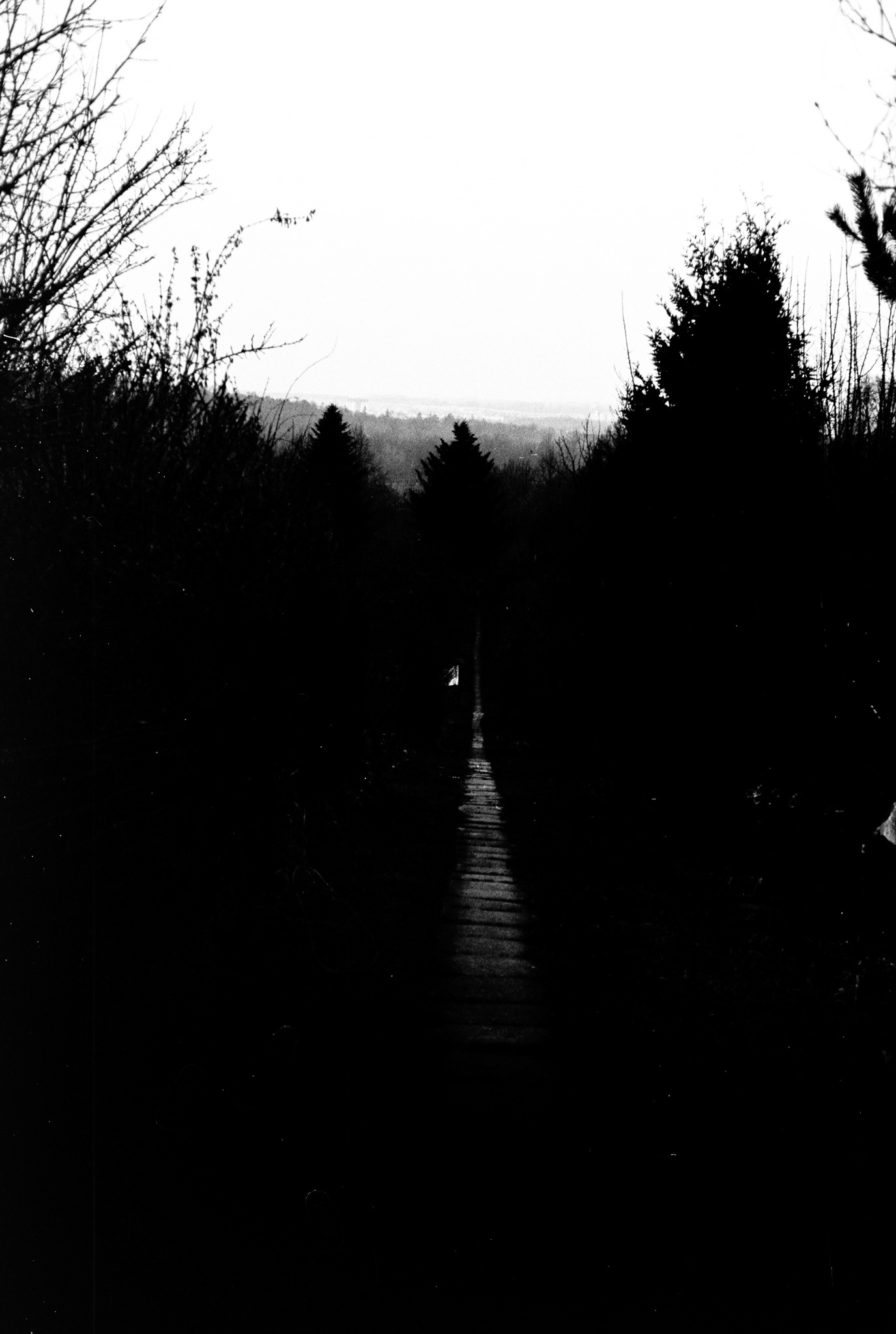 Późne godziny - © 2024 Tomasz Ryś