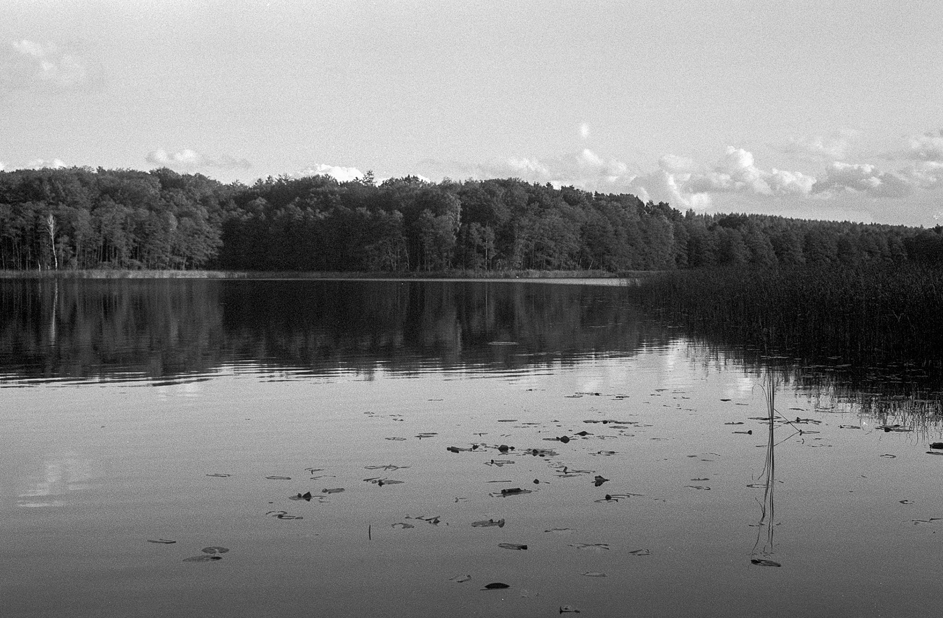 © 2023 Tomasz Ryś, Ilford FP4+, Infosol 3