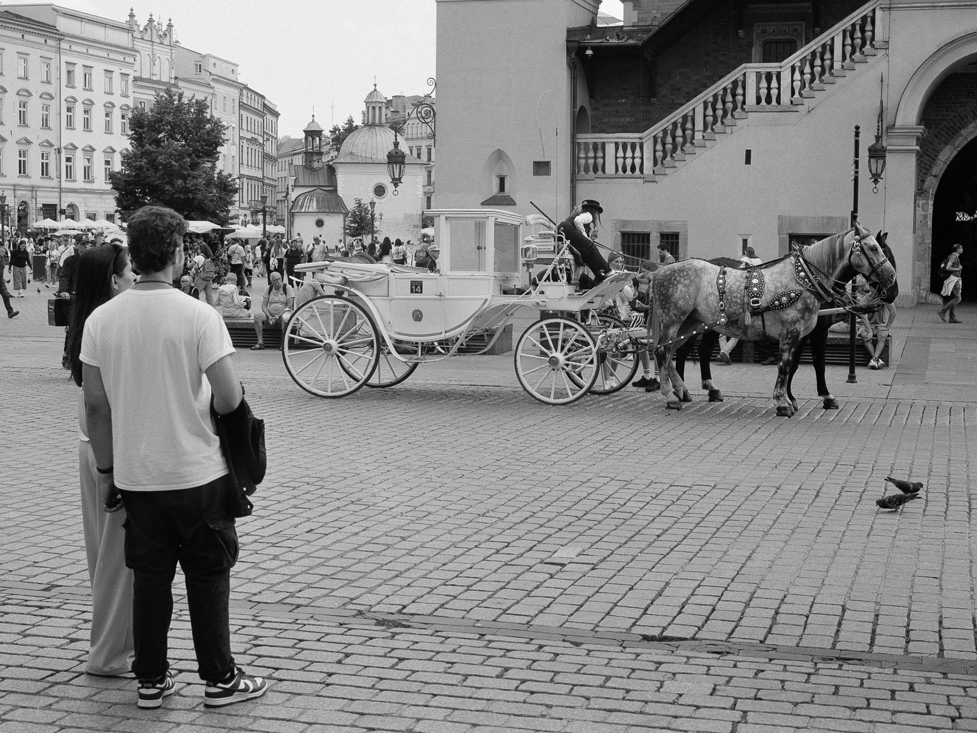Rynek Główny w Krakowie - © 2025 Tomasz Ryś