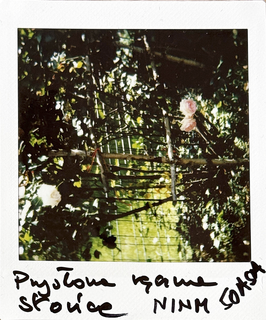 NINM, Fujifilm SQUEARE. © 2024 Tomasz Ryś