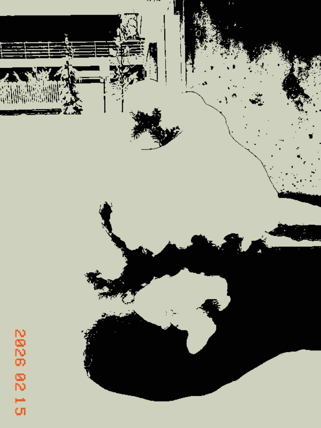 Drzewko w śniegu - © 2026 Tomasz Ryś