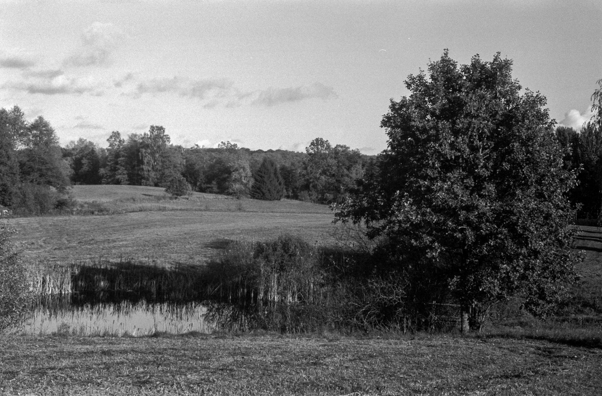 © 2023 Tomasz Ryś, Ilford FP4+, Infosol 3