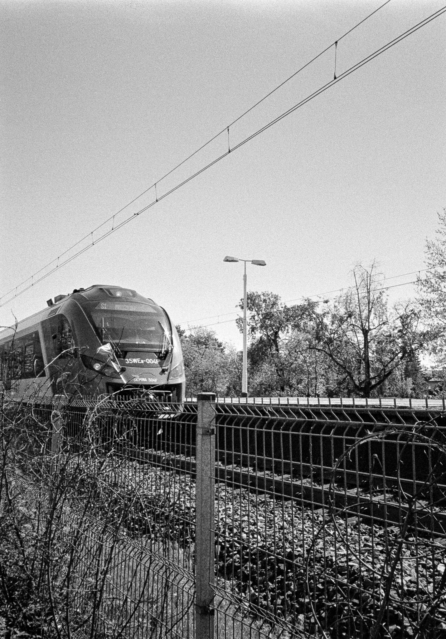 Warszawa, Międzylessie - © 2025 Tomasz Ryś