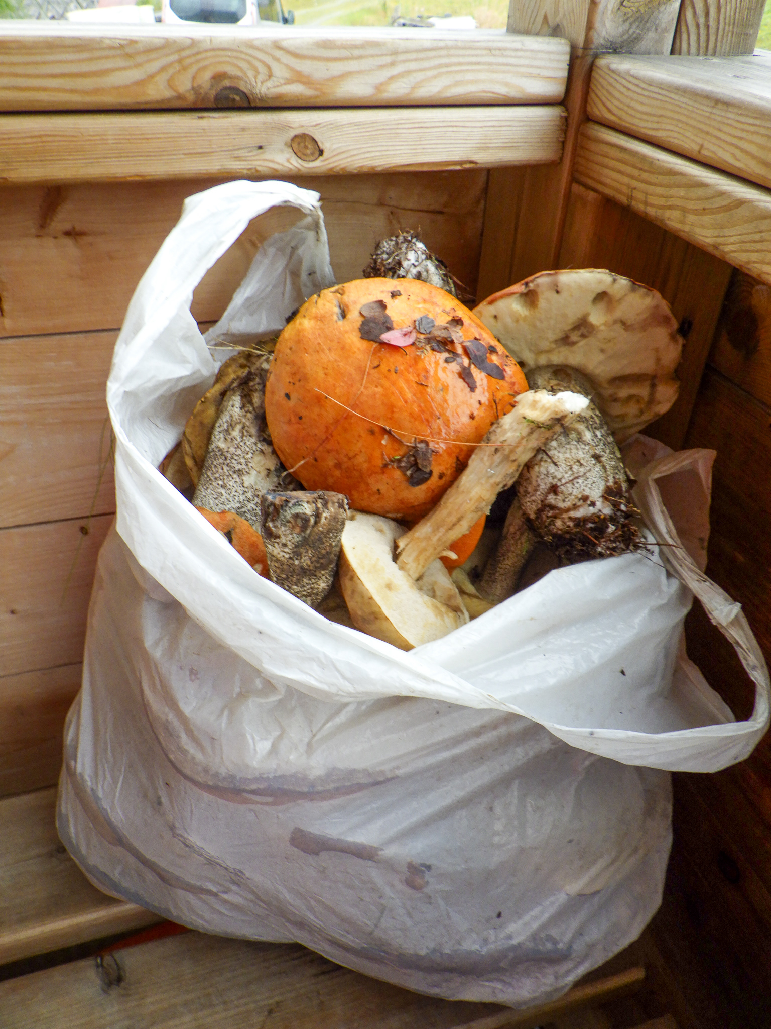 Uloya, Norwegia - © 2024, 2025 Tomasz Ryś