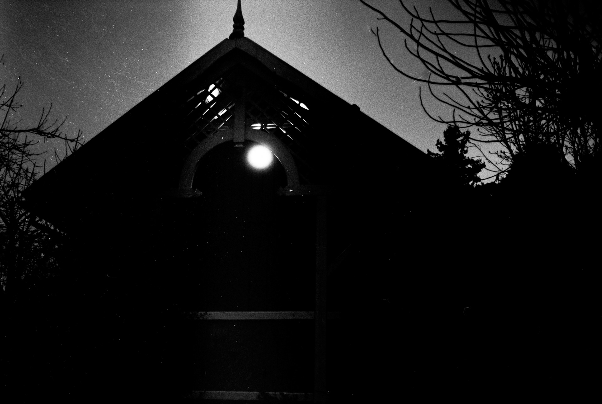 Noc w ogrodzie - © 2024 Tomasz Ryś