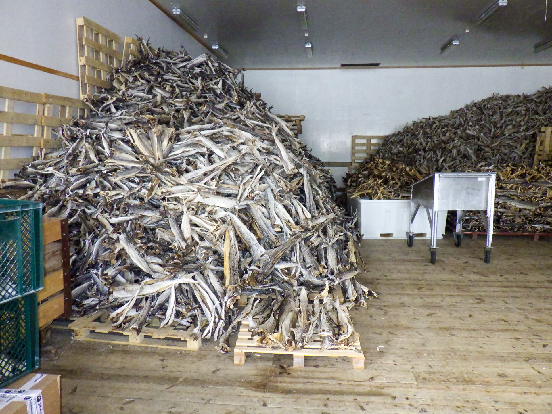 Uloya, Norwegia - © 2024, 2025 Tomasz Ryś