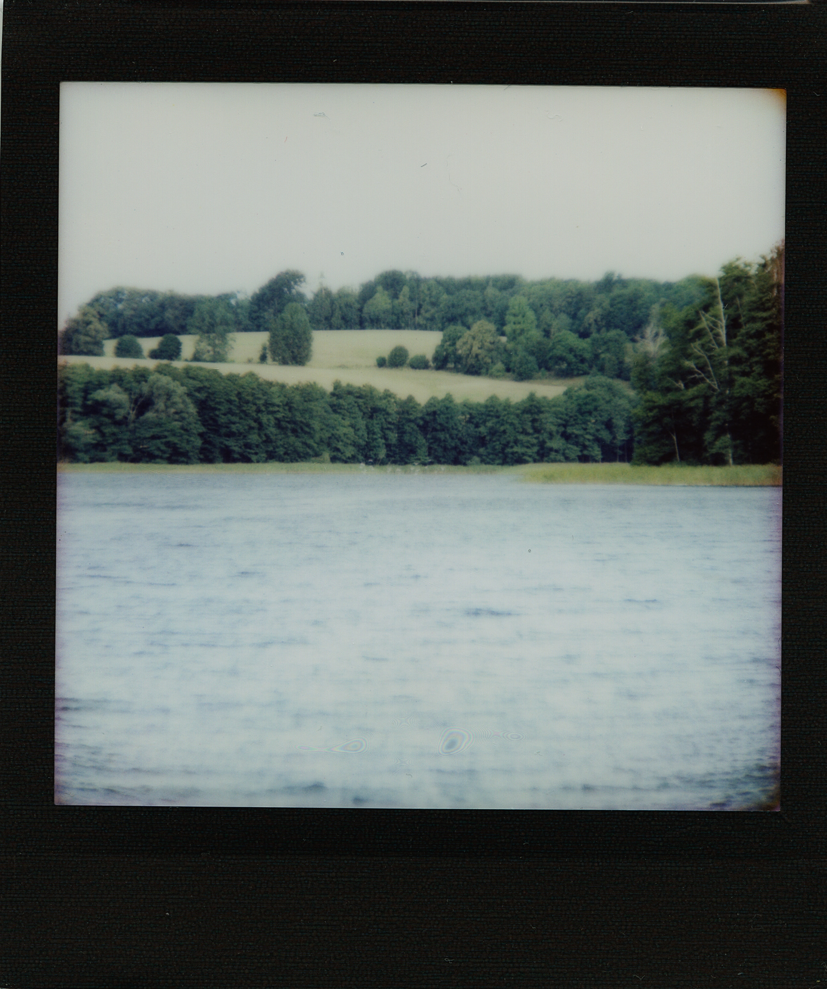 Biesówko. Canon AE-1 Program, Vivitar 75-200mm 1:3.8, ISO 100, tryb auto