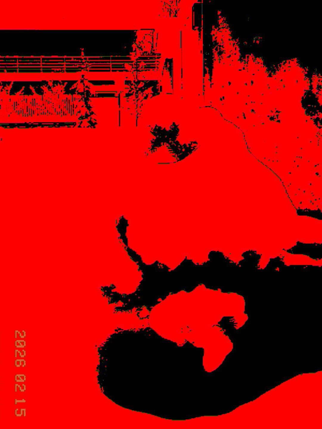 Drzewko w śniegu - © 2026 Tomasz Ryś