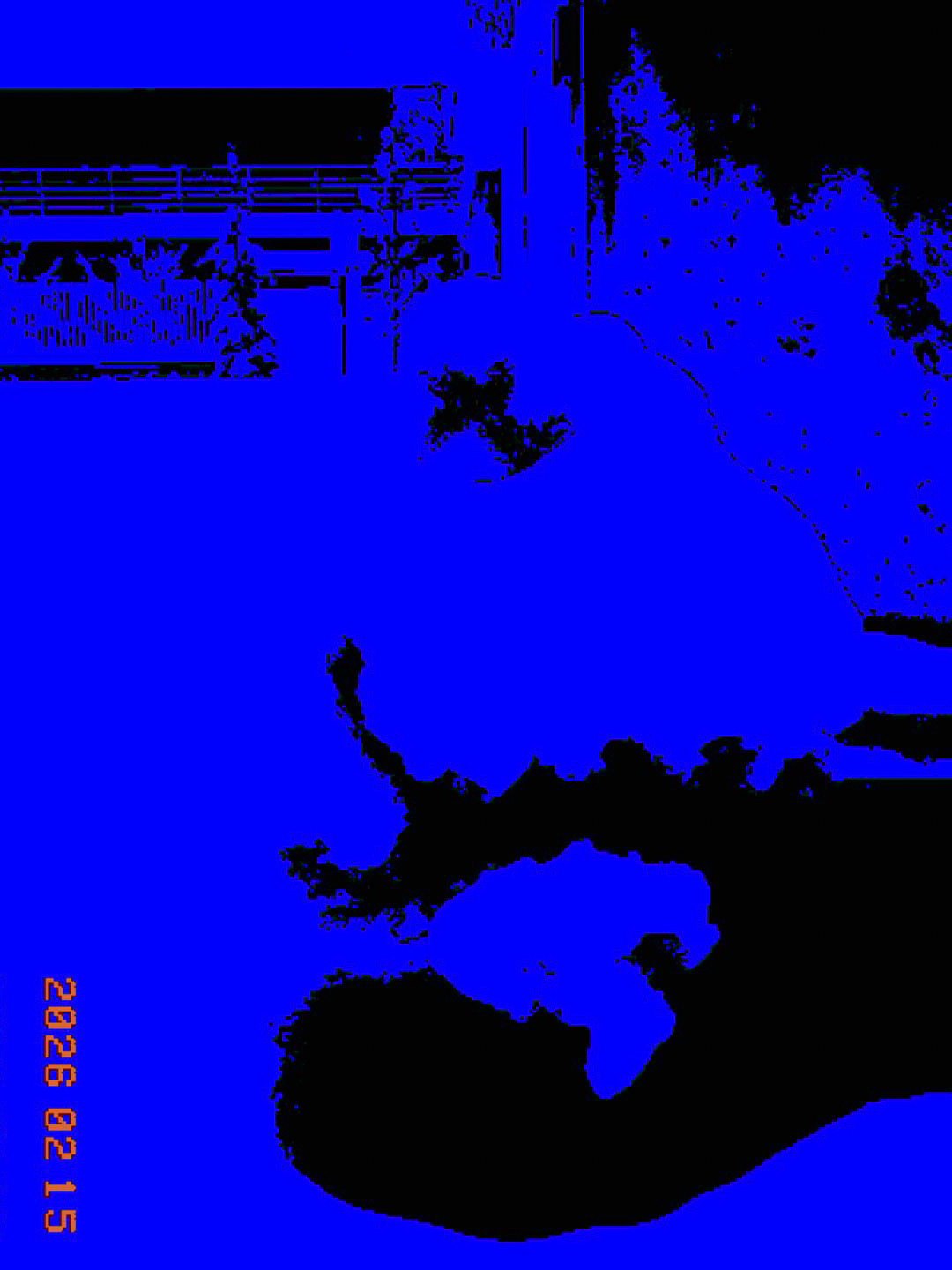 Drzewko w śniegu - © 2026 Tomasz Ryś