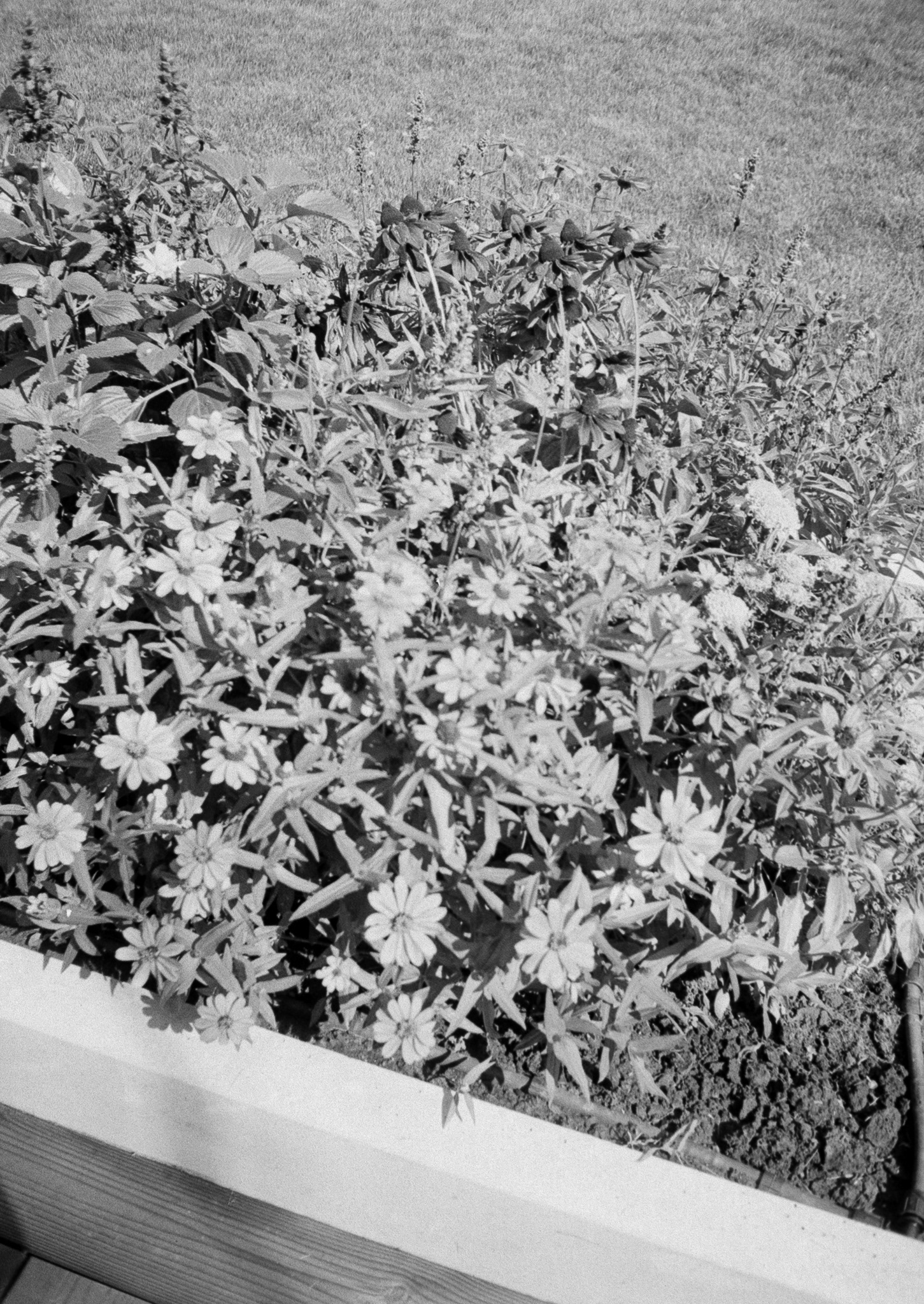 Kraków - © 2025 Tomasz Ryś