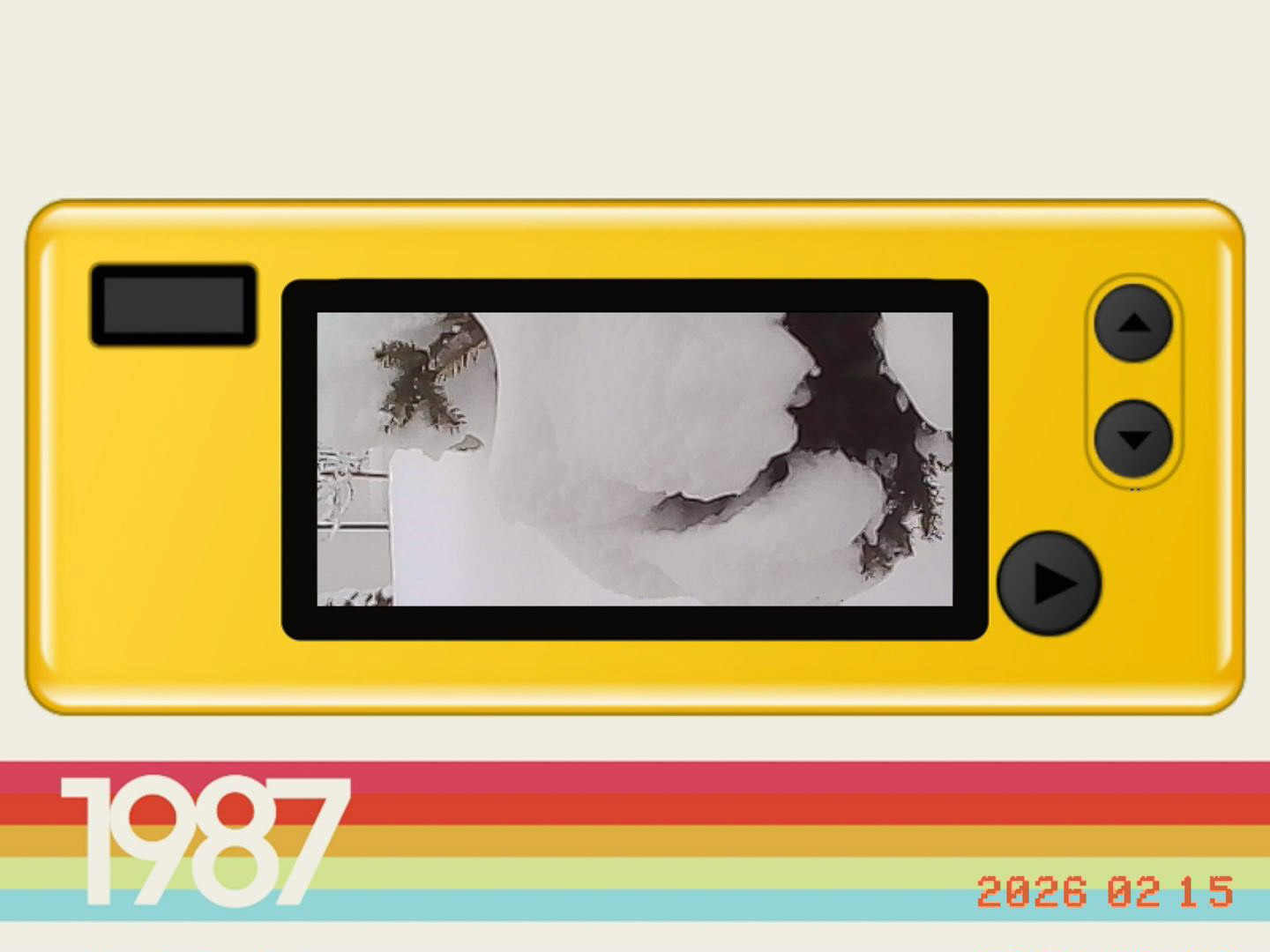 Drzewko w śniegu - © 2026 Tomasz Ryś