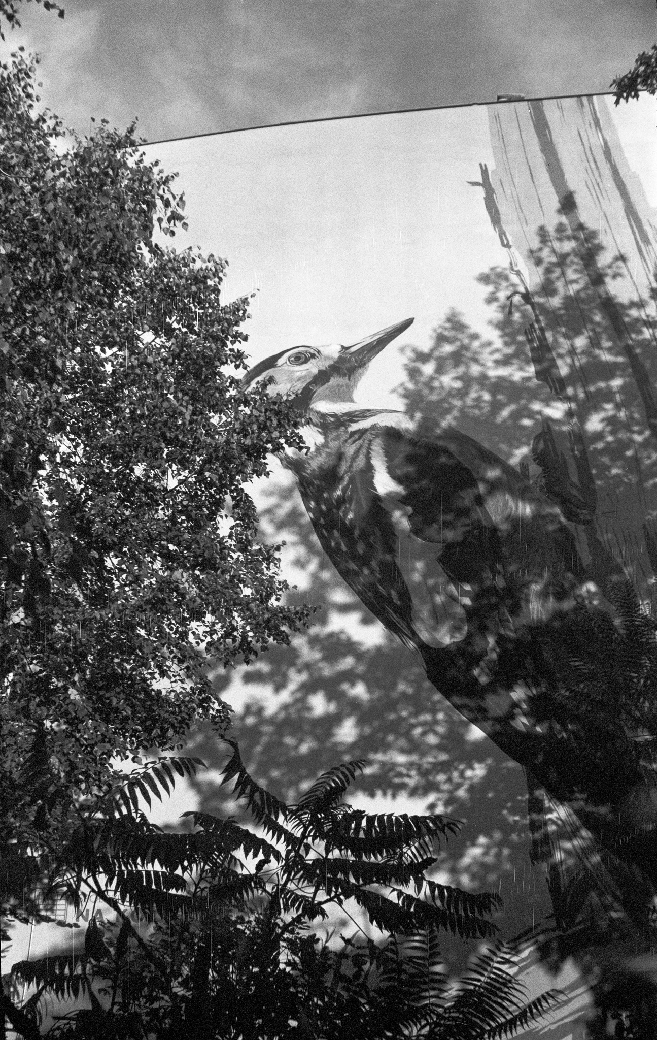 Osiedle Na Kozłówku. Kodak Vest Pocket - © 2023 Tomasz Ryś