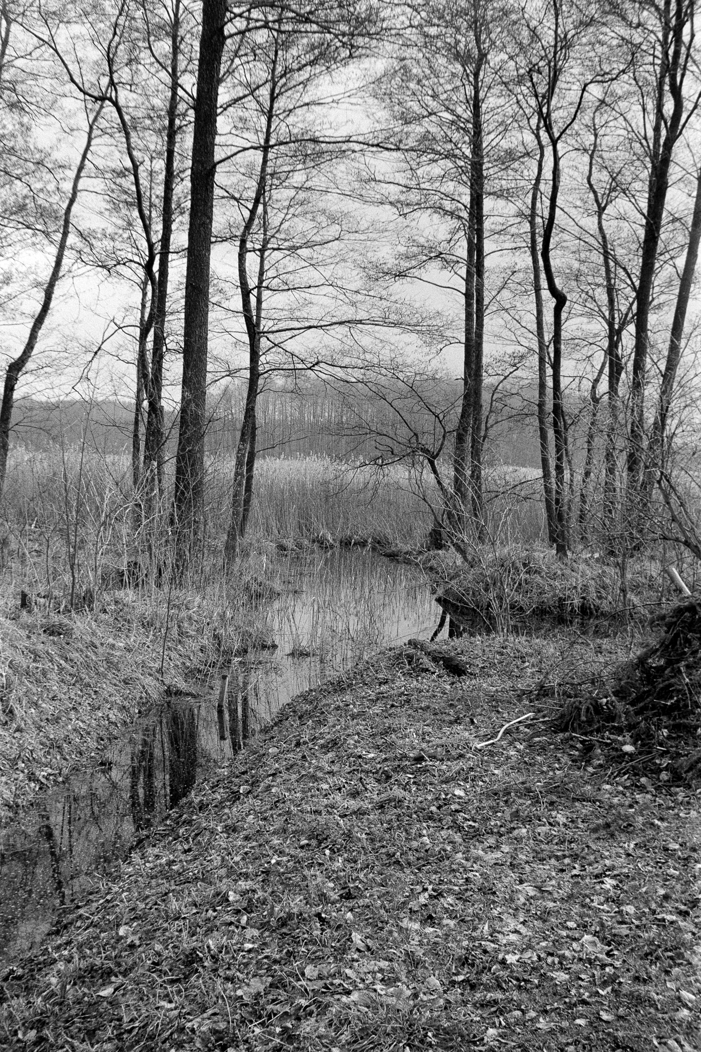 Warmia - © 2024 Tomasz Ryś