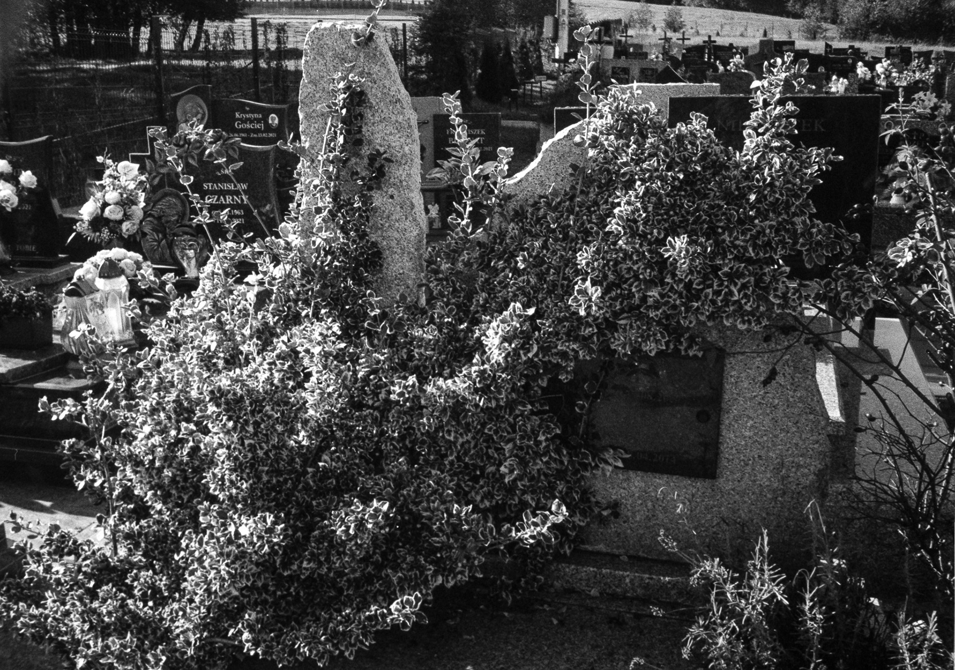 Sidzina. Cmentarz - © 2025 Tomasz Ryś