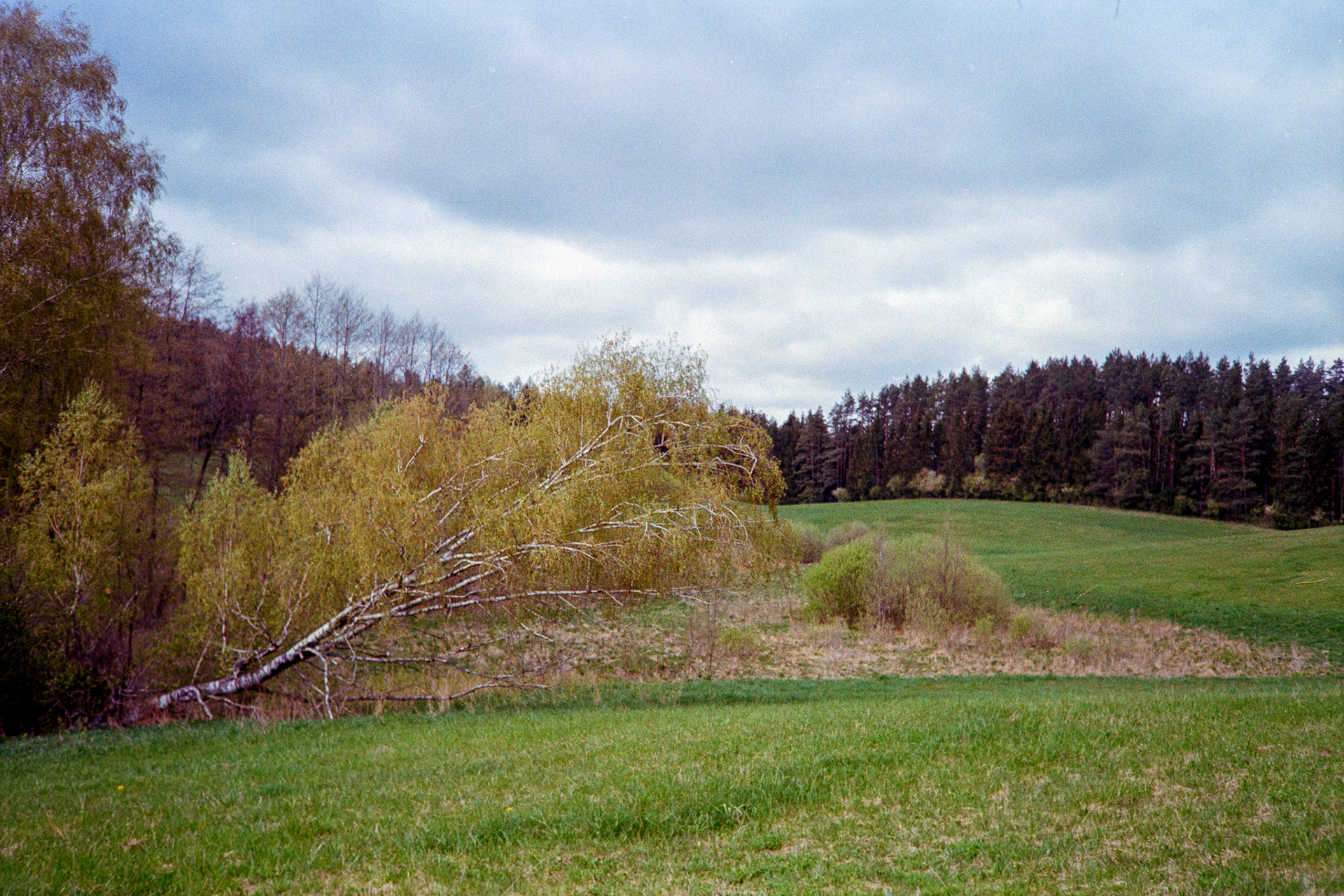 Warmia - © 2024 Tomasz Ryś