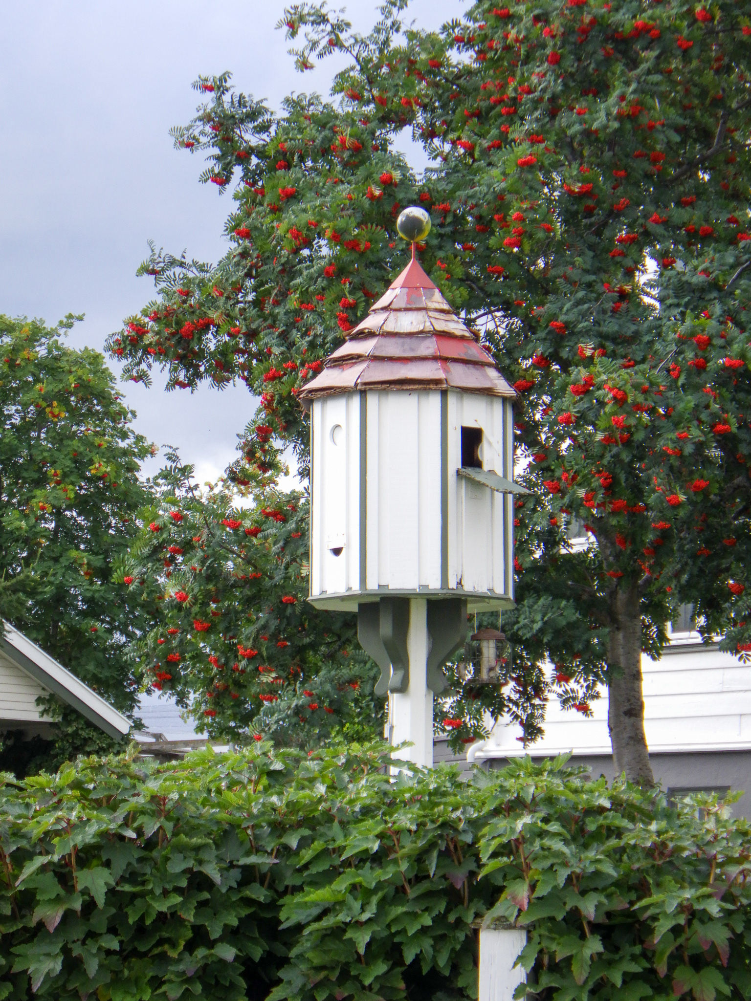 Uloya, Norwegia - © 2024, 2025 Tomasz Ryś