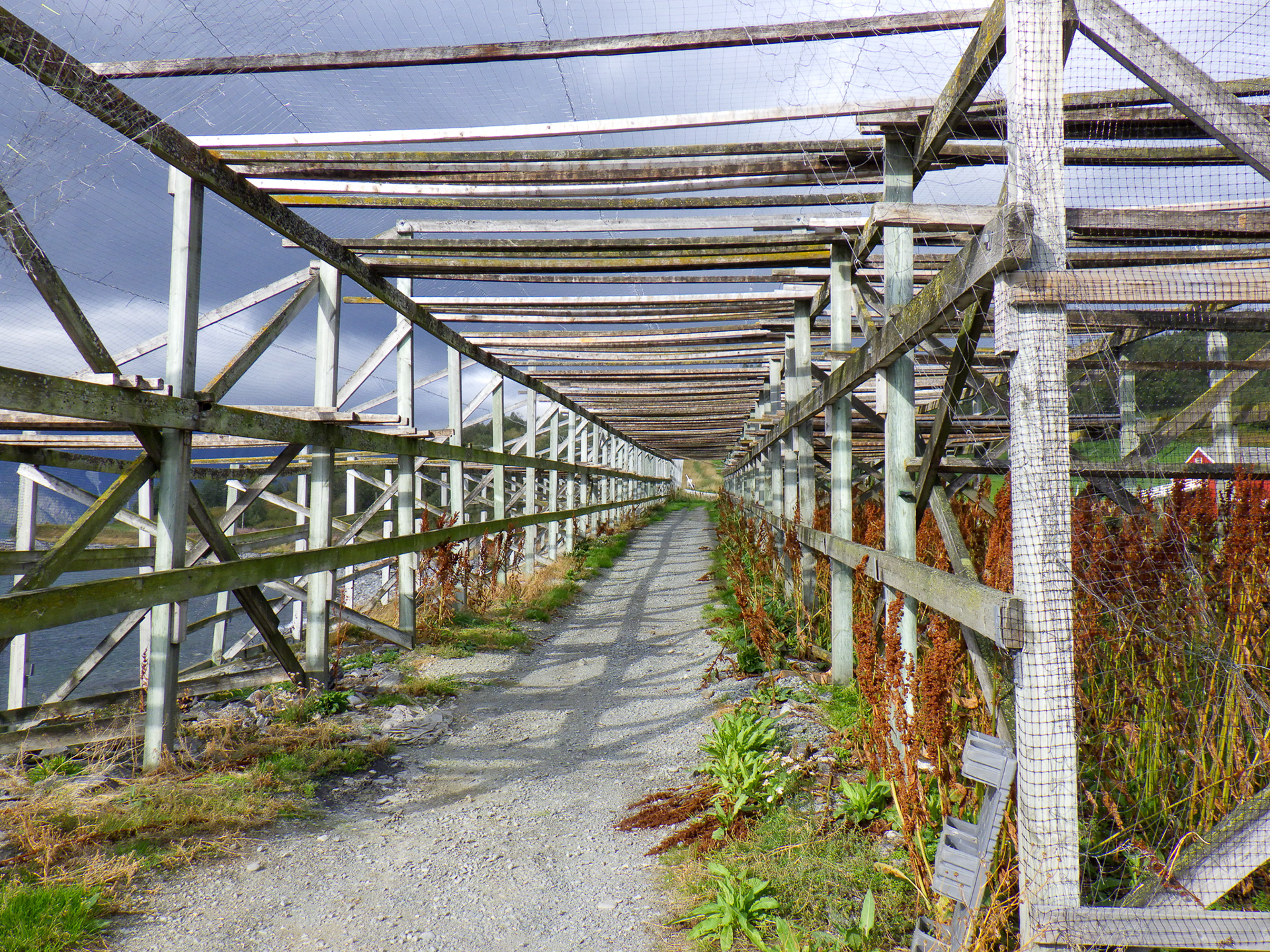 Uloya, Norwegia - © 2024, 2025 Tomasz Ryś