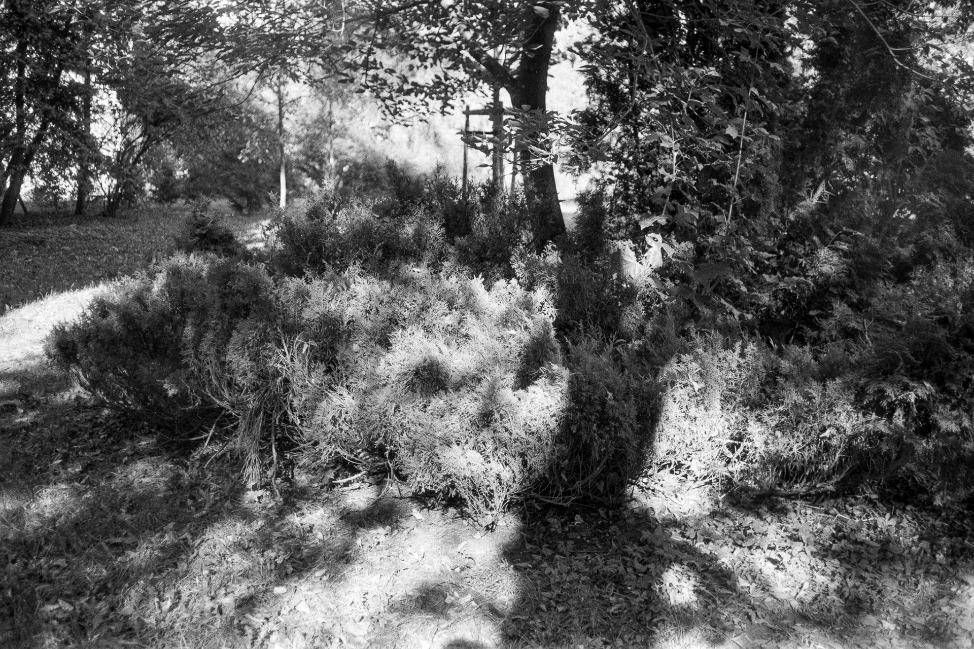 Kraków - © 2024 Tomasz Ryś