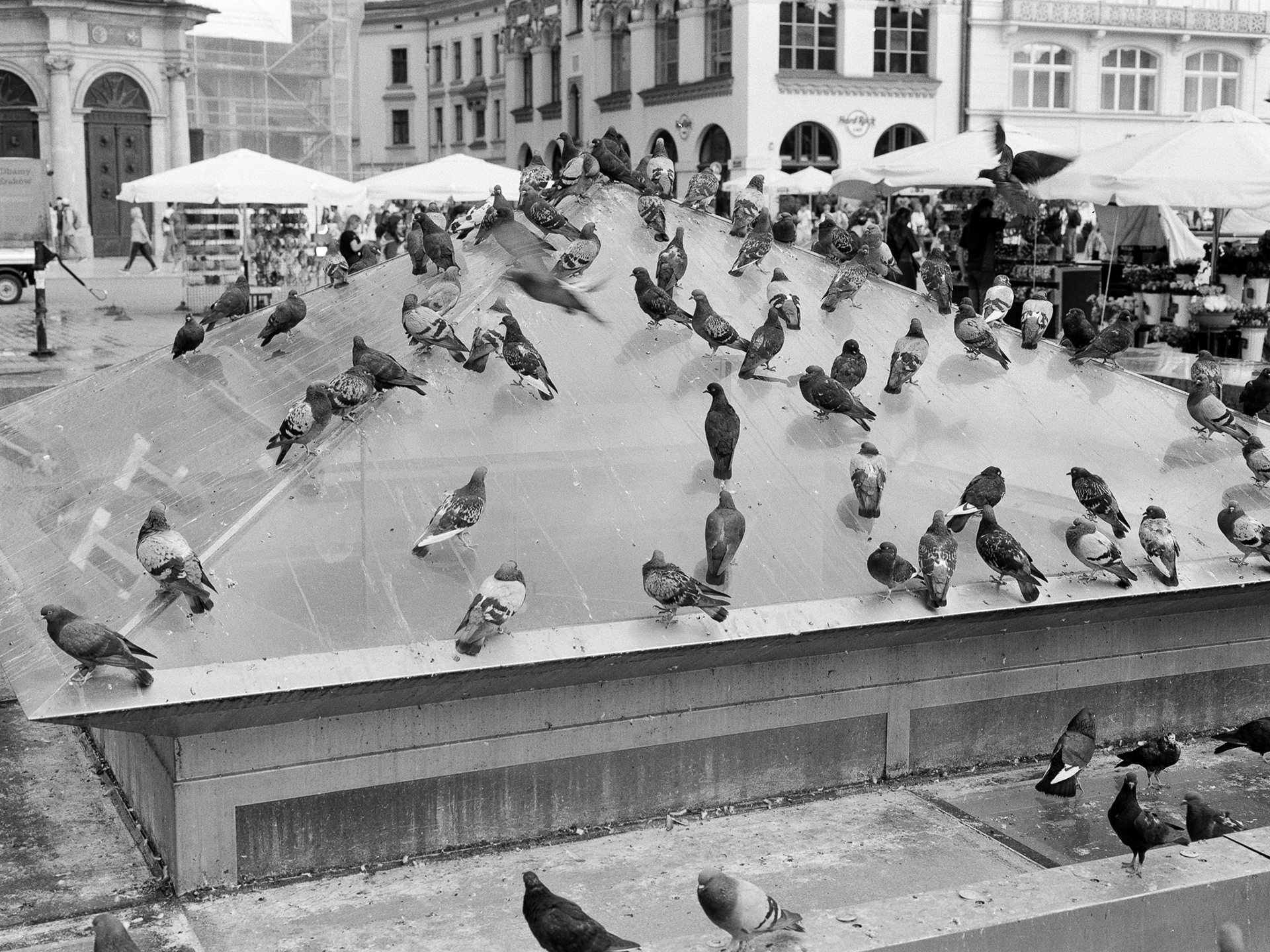 Rynek Główny w Krakowie - © 2025 Tomasz Ryś