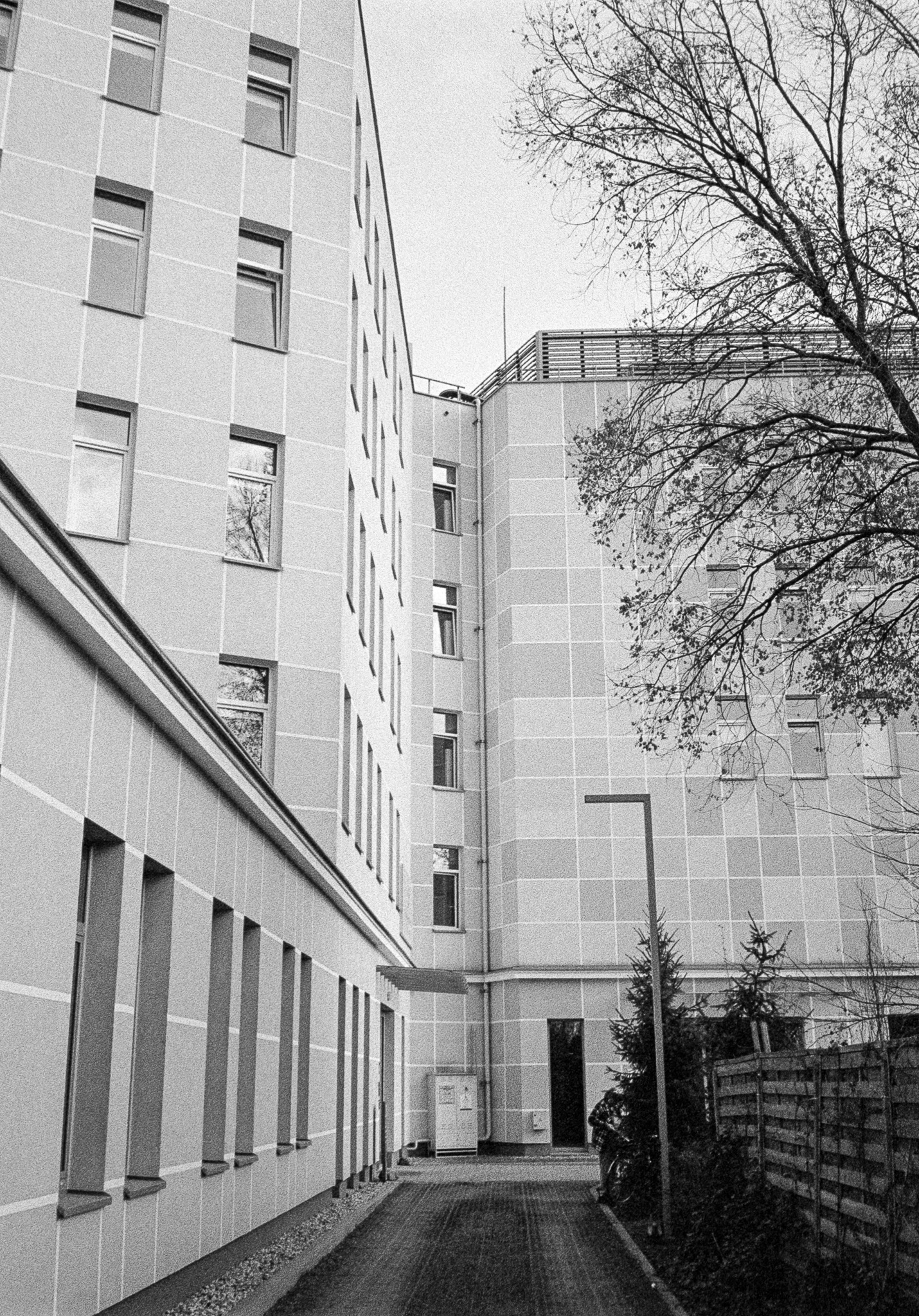 Warszawa, Międzylessie - © 2025 Tomasz Ryś