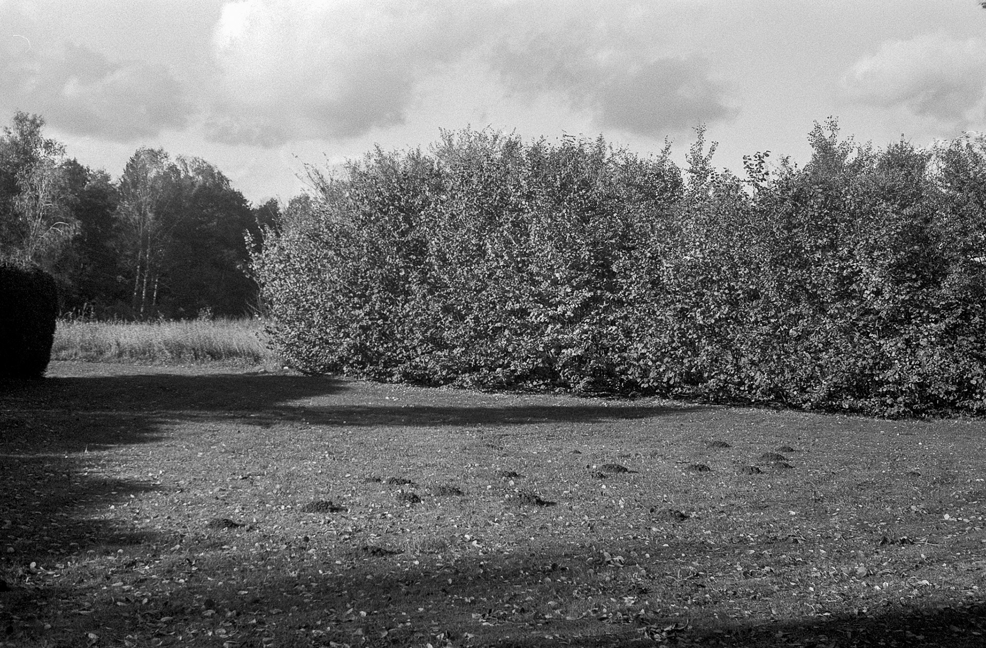 © 2023 Tomasz Ryś, Ilford FP4+, Infosol 3