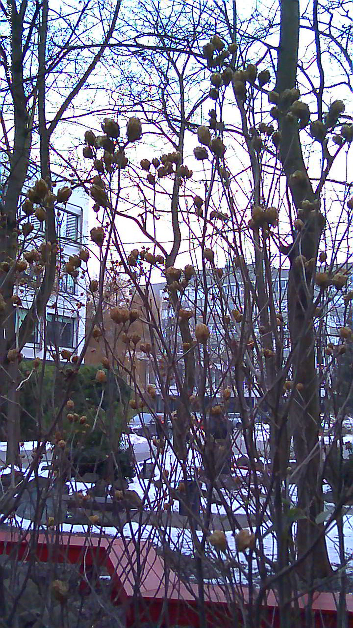 Zrobione G6 - © 2026 Tomasz Ryś