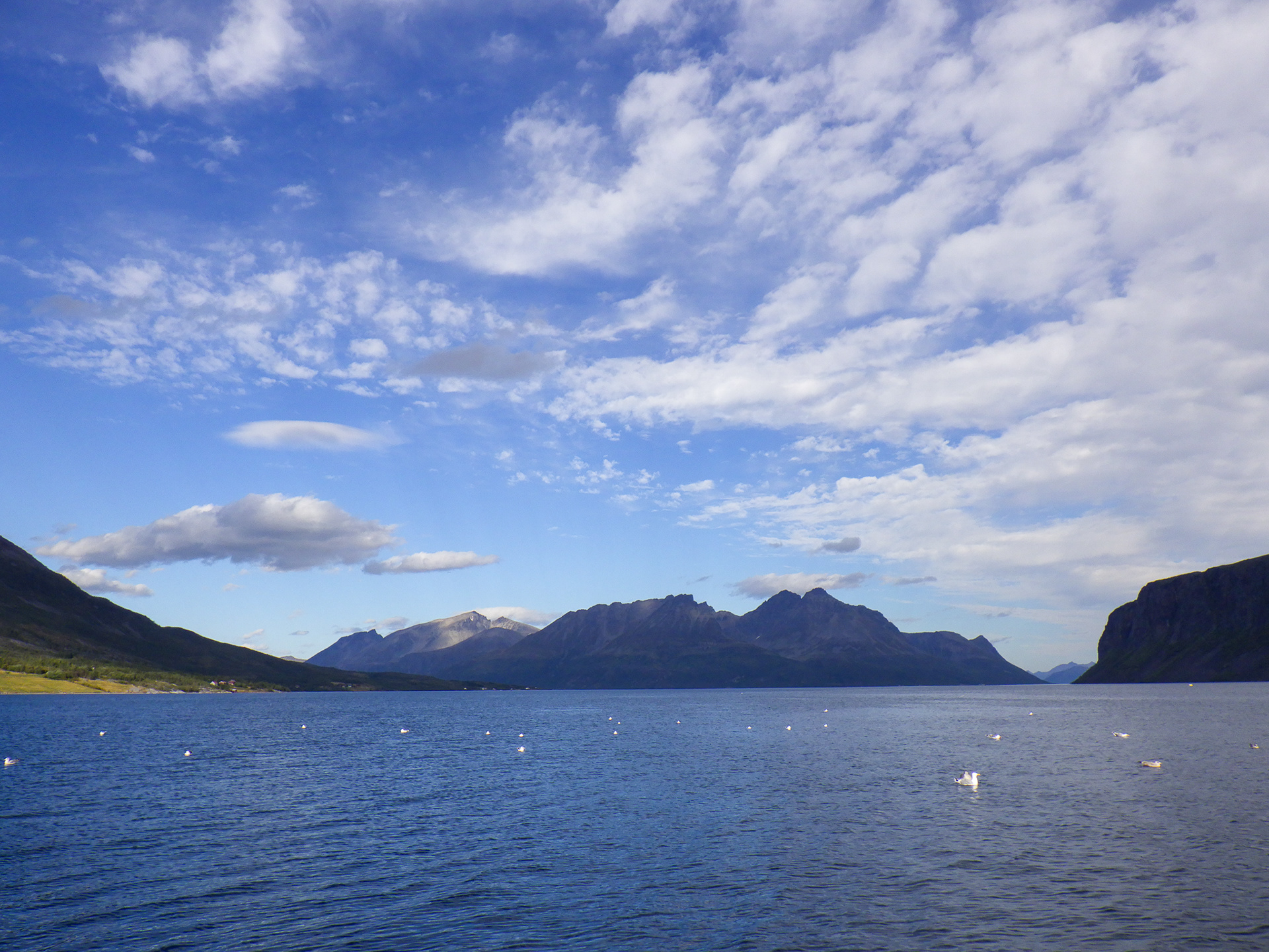 Uloya, Norwegia - © 2024, 2025 Tomasz Ryś