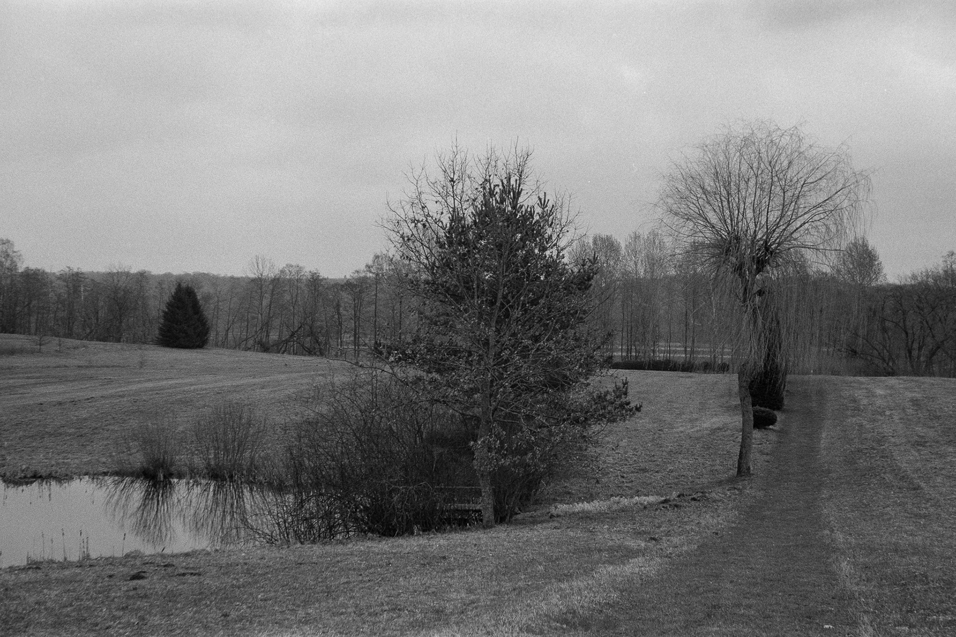 Warmia - © 2024 Tomasz Ryś