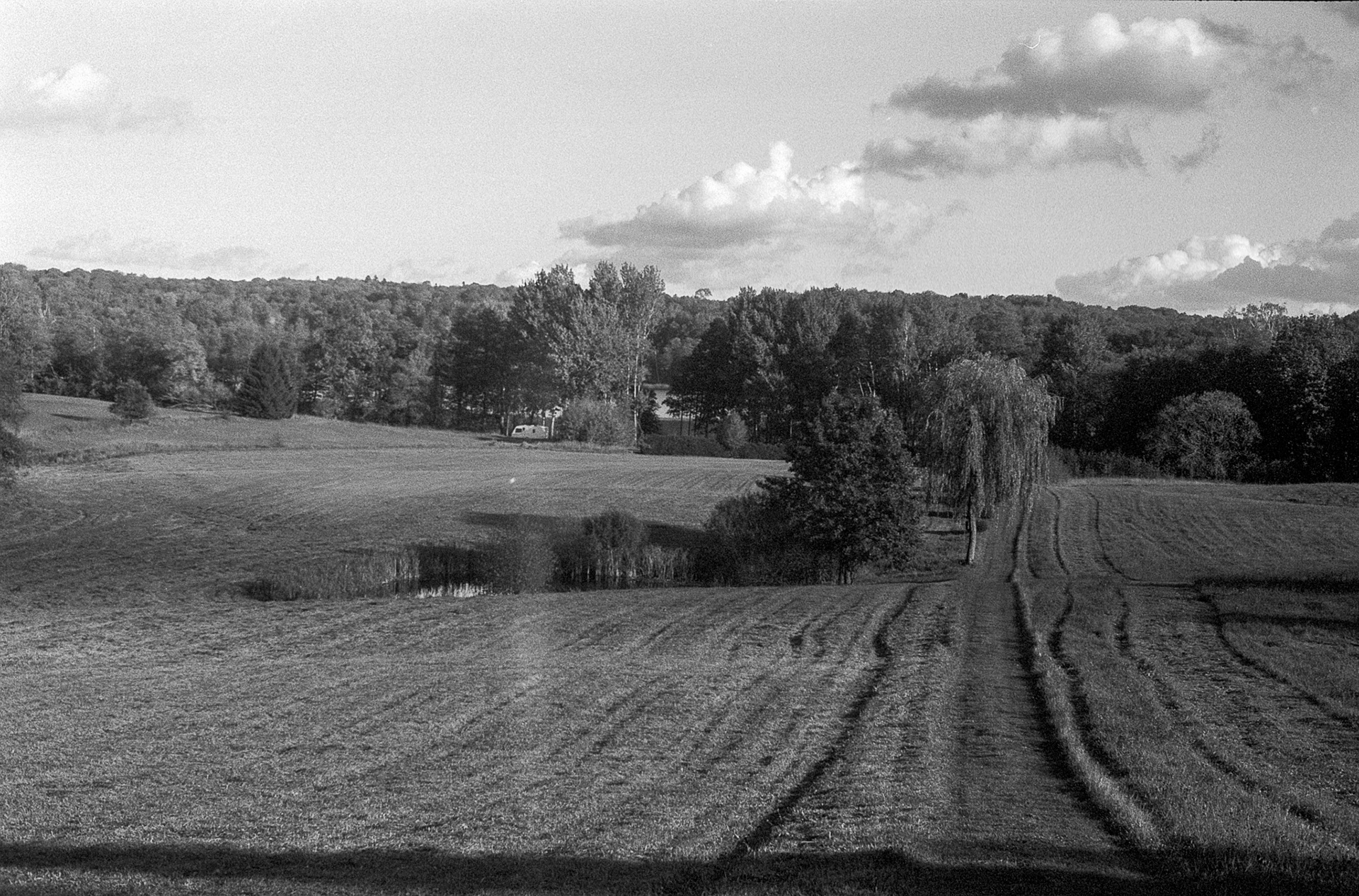 © 2023 Tomasz Ryś, Ilford FP4+, Infosol 3