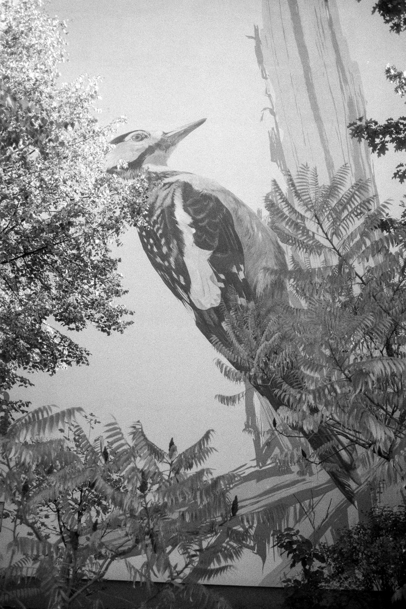 Kraków - © 2024 Tomasz Ryś