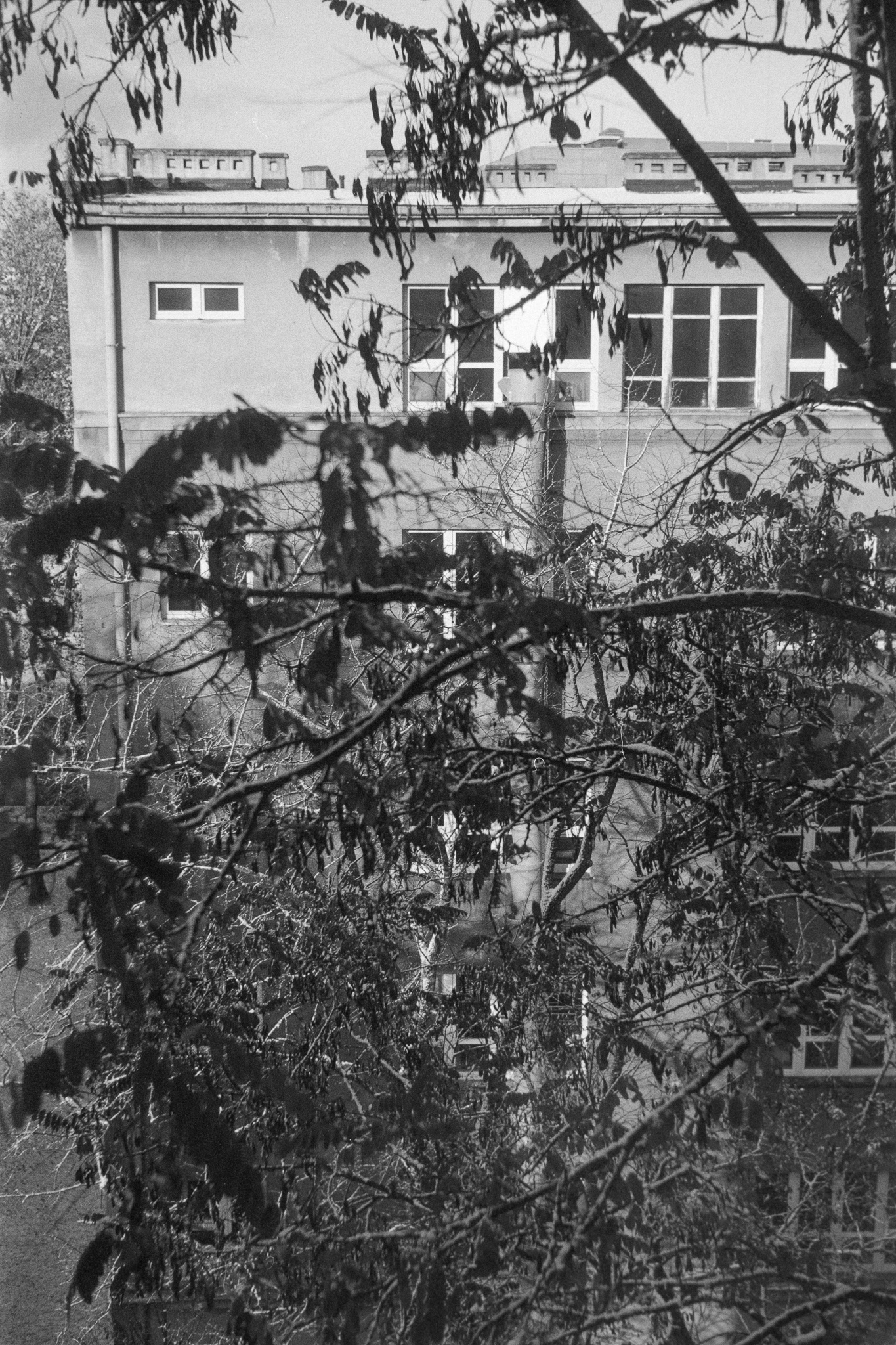 Kraków - © 2024 Tomasz Ryś