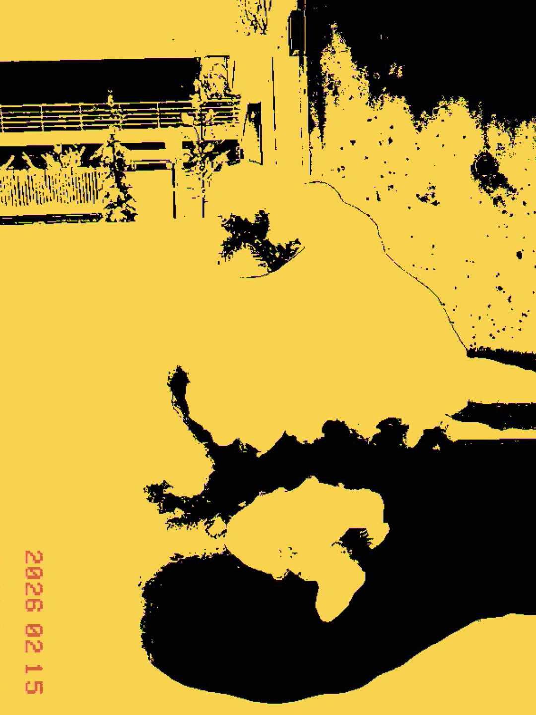 Drzewko w śniegu - © 2026 Tomasz Ryś