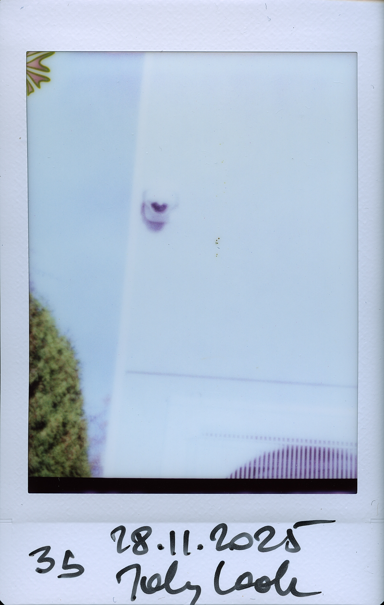 Kamera. Jollylook. © 2025 Tomasz Ryś