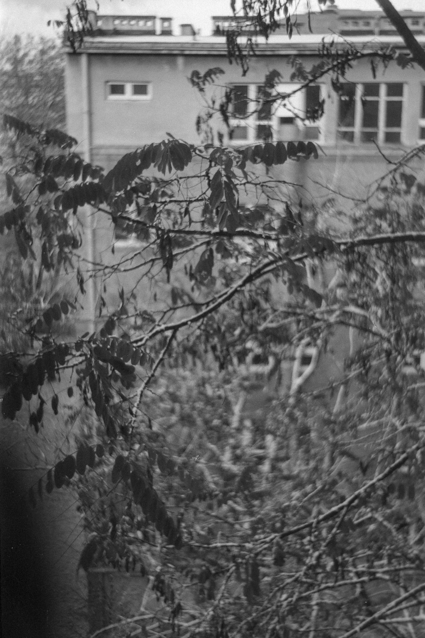 Kraków - © 2024 Tomasz Ryś