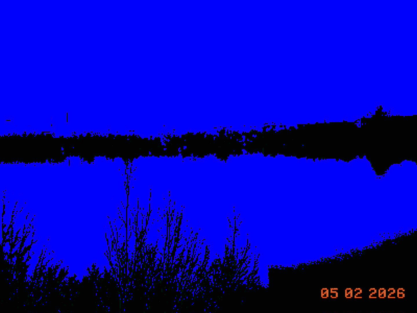 Dunaj, Wiedeń - © 2026 Tomasz Ryś