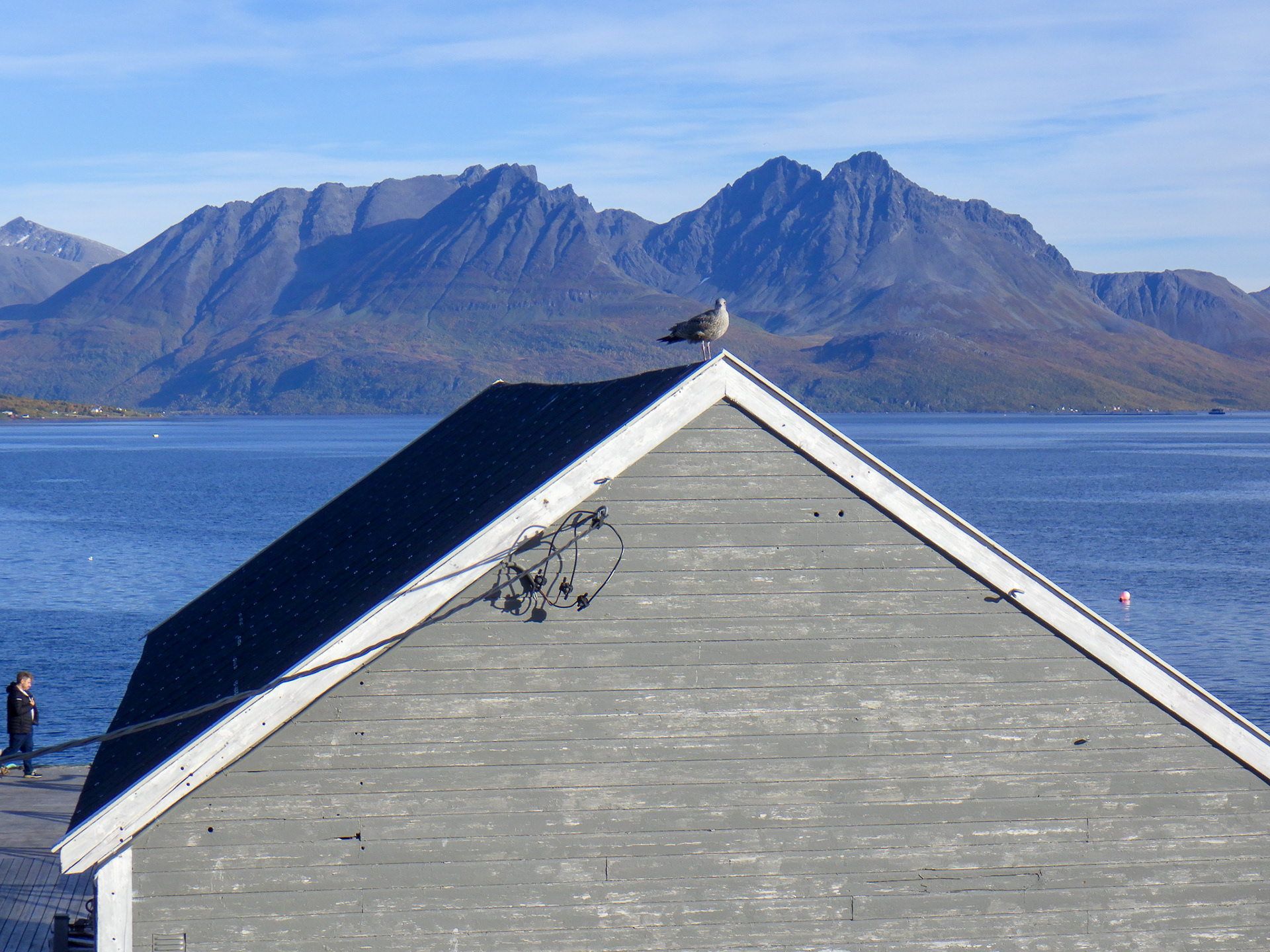 Uloya, Norwegia - © 2024, 2025 Tomasz Ryś