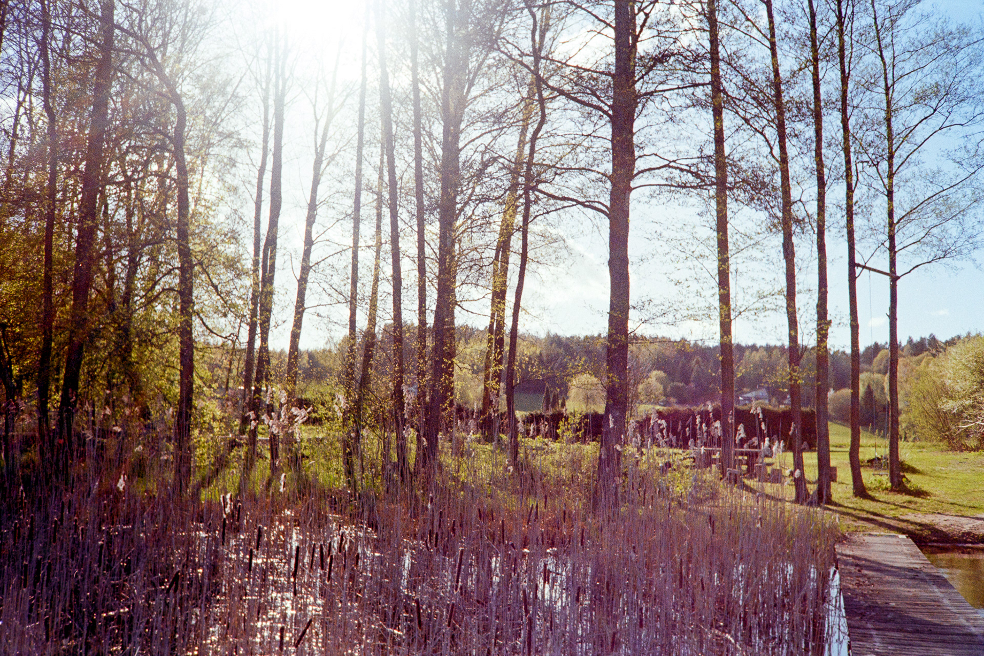 Warmia - © 2024 Tomasz Ryś