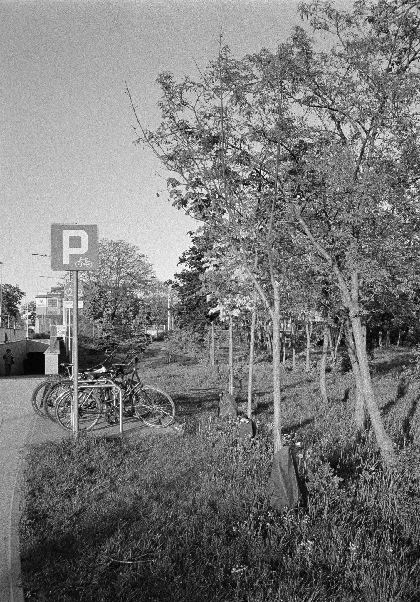 Warszawa, Międzylessie - © 2025 Tomasz Ryś