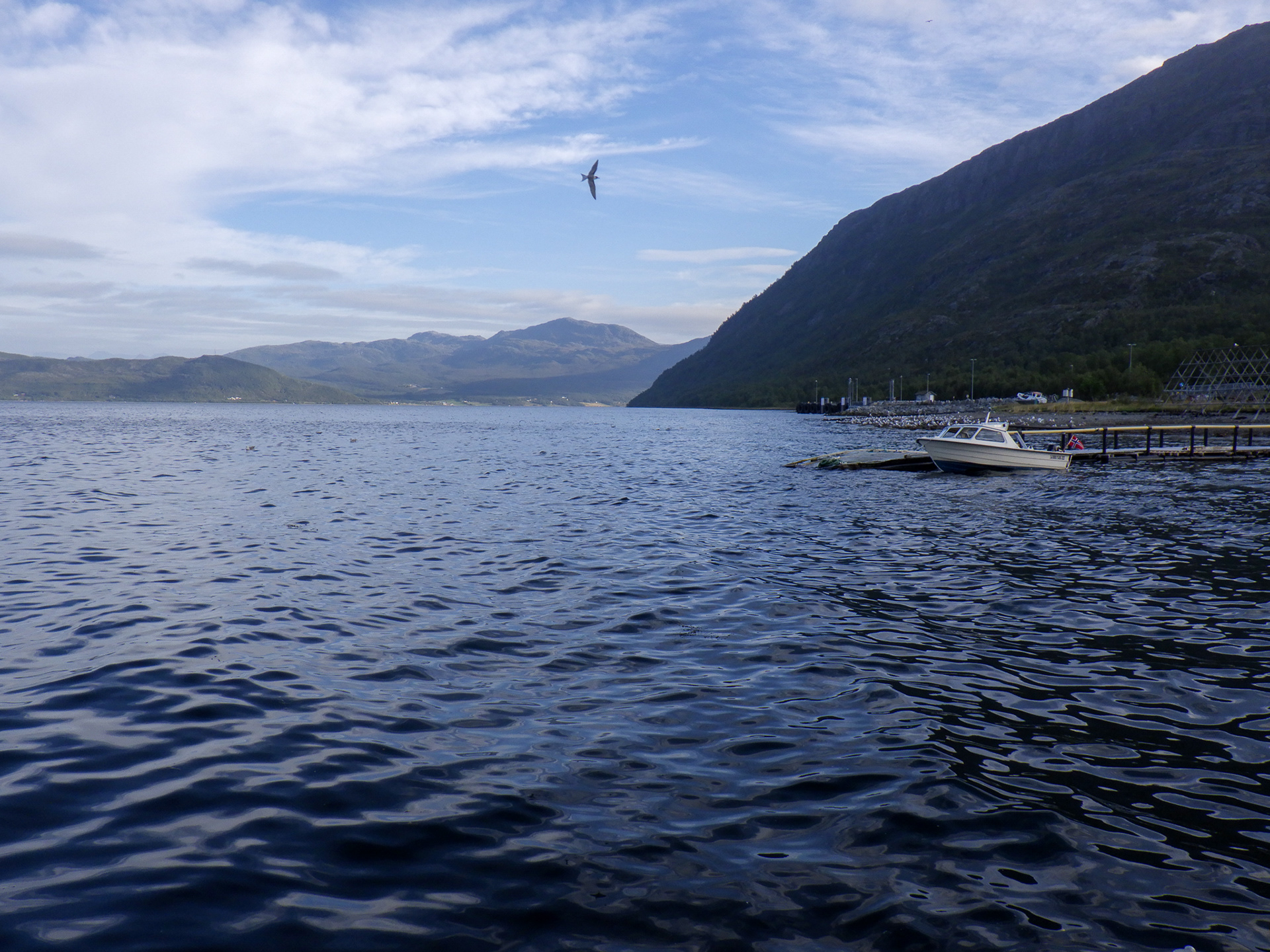 Uloya, Norwegia - © 2024, 2025 Tomasz Ryś