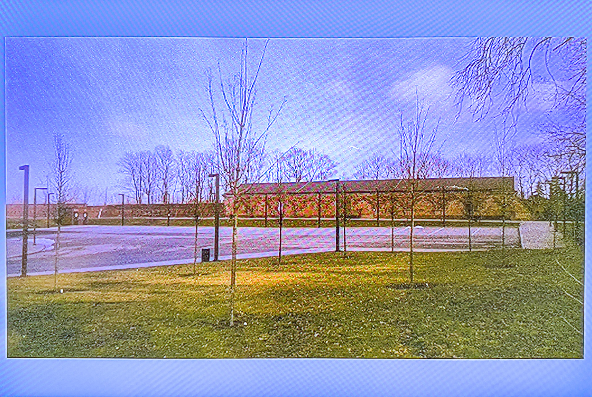 To samo zdjęcie pomniejszone (opcja ZOOM). © 2024 Tomasz Ryś