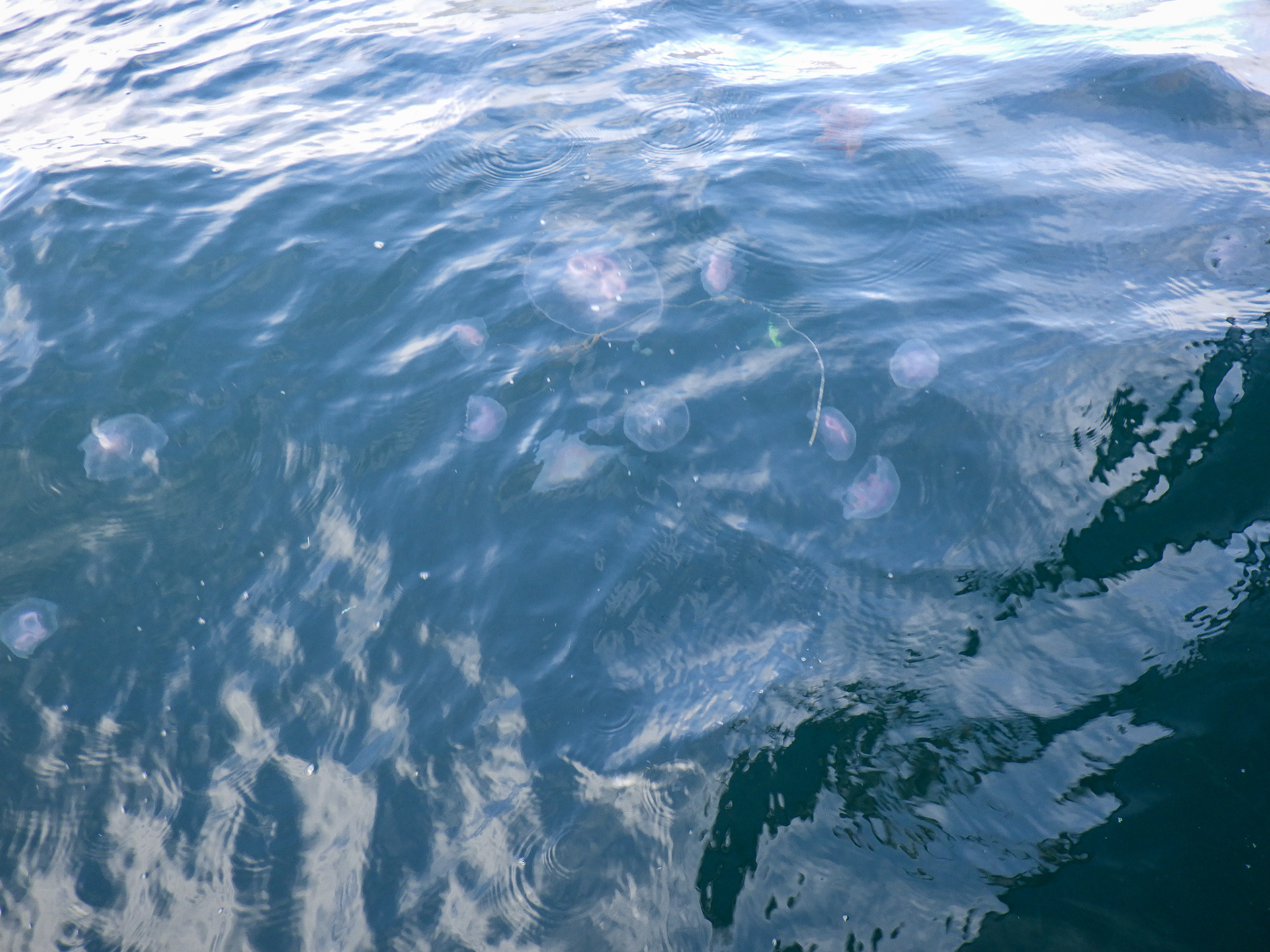 Uloya, Norwegia - © 2024, 2025 Tomasz Ryś