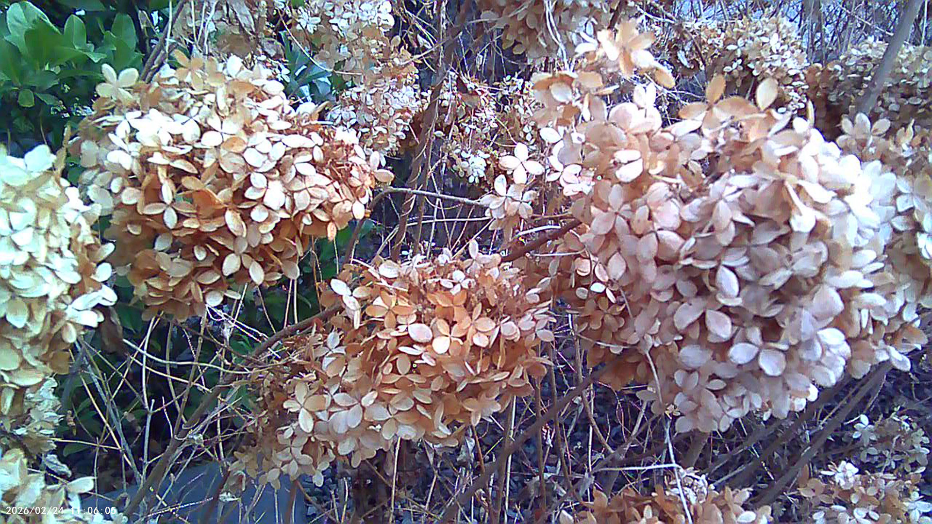 Zrobione G6 - © 2026 Tomasz Ryś