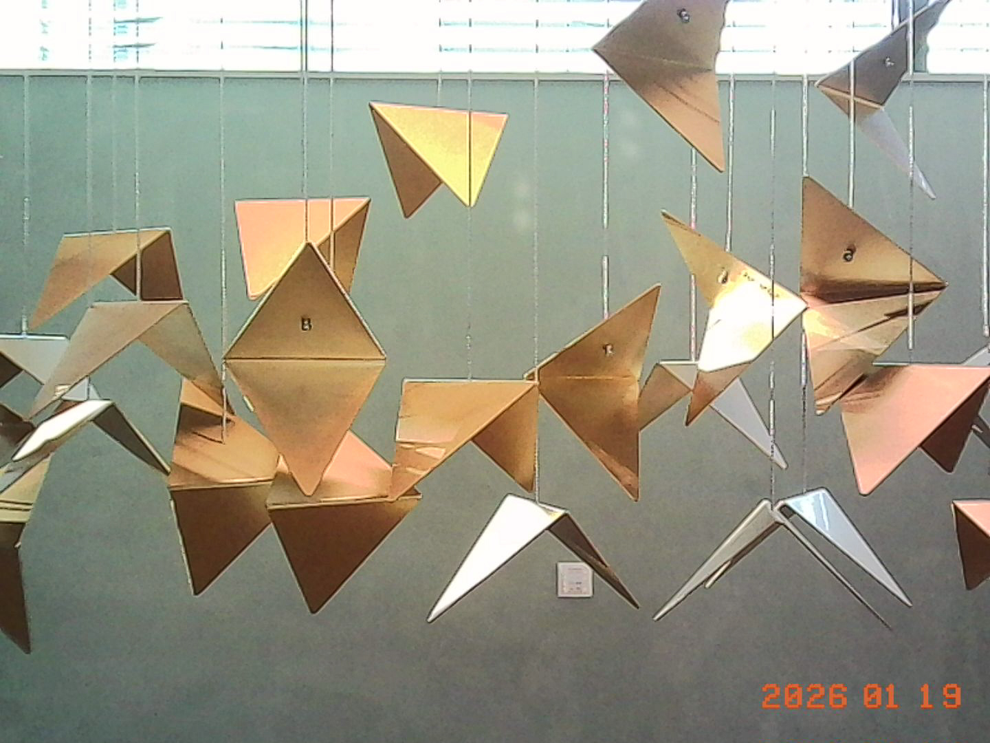 Zrobione Kodak Charmera - © 2026 Tomasz Ryś