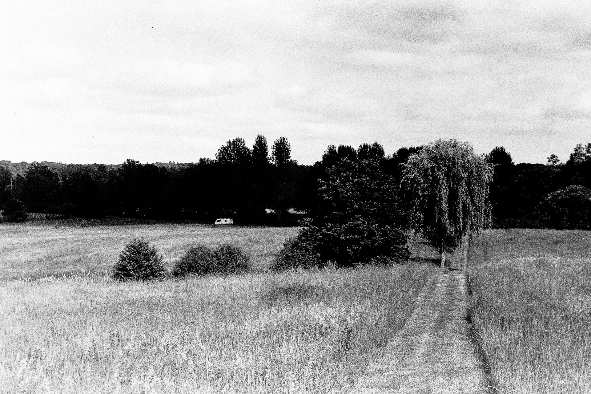 Biesówko, Warmia - © 2024 Tomasz Ryś