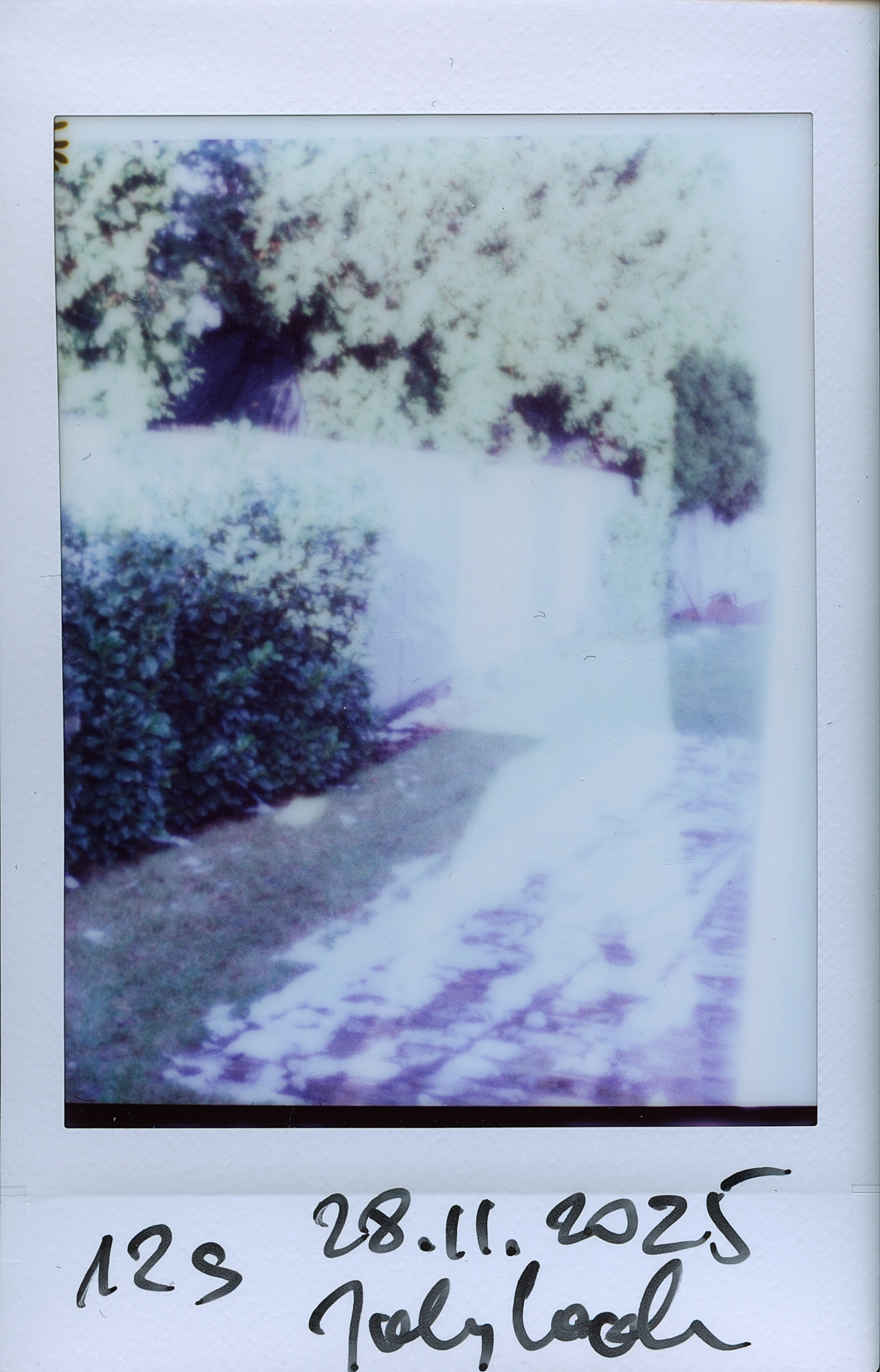 Ogród. Jollylook. © 2025 Tomasz Ryś