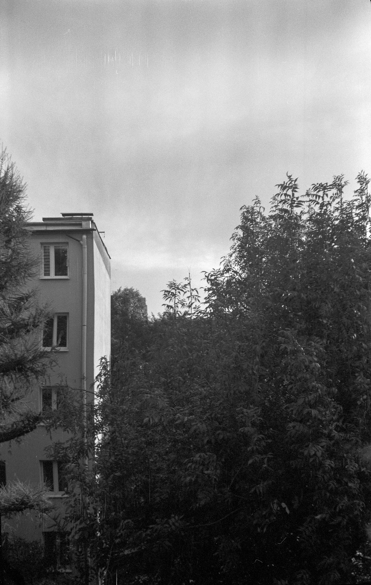 Osiedle Na Kozłówku. Kodak Vest Pocket - © 2023 Tomasz Ryś
