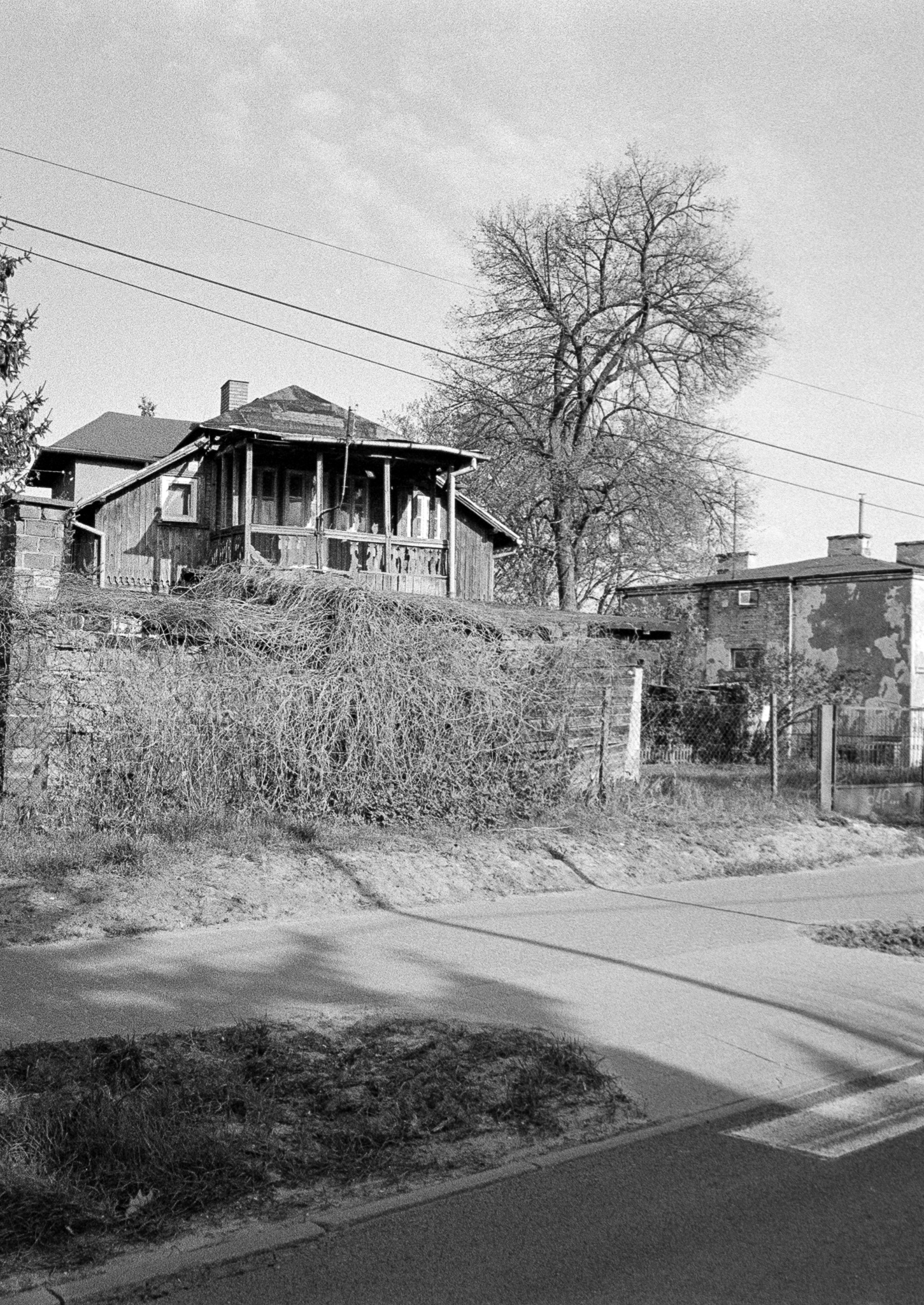 Warszawa, Międzylessie - © 2025 Tomasz Ryś