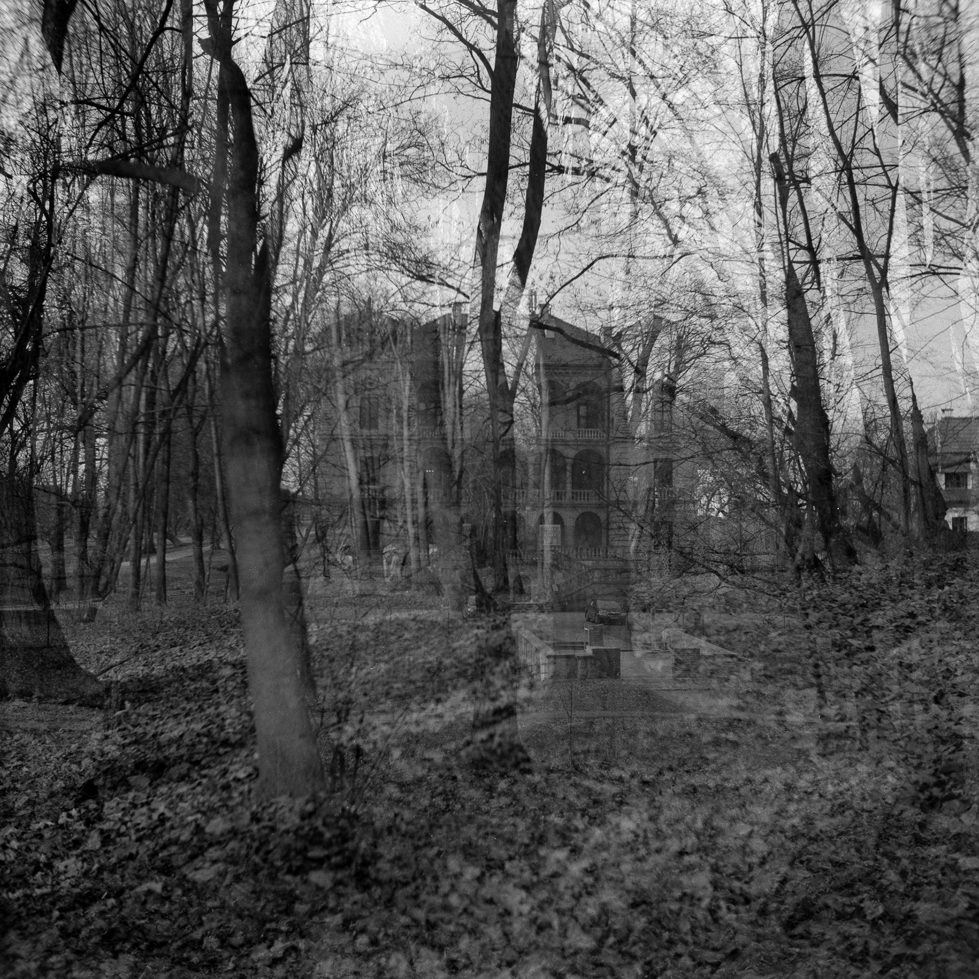 Park Decjusza w Krakowie - © 2026 Tomasz Ryś